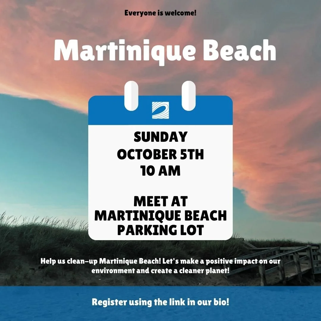 Martinique Beach Park Clean-Up