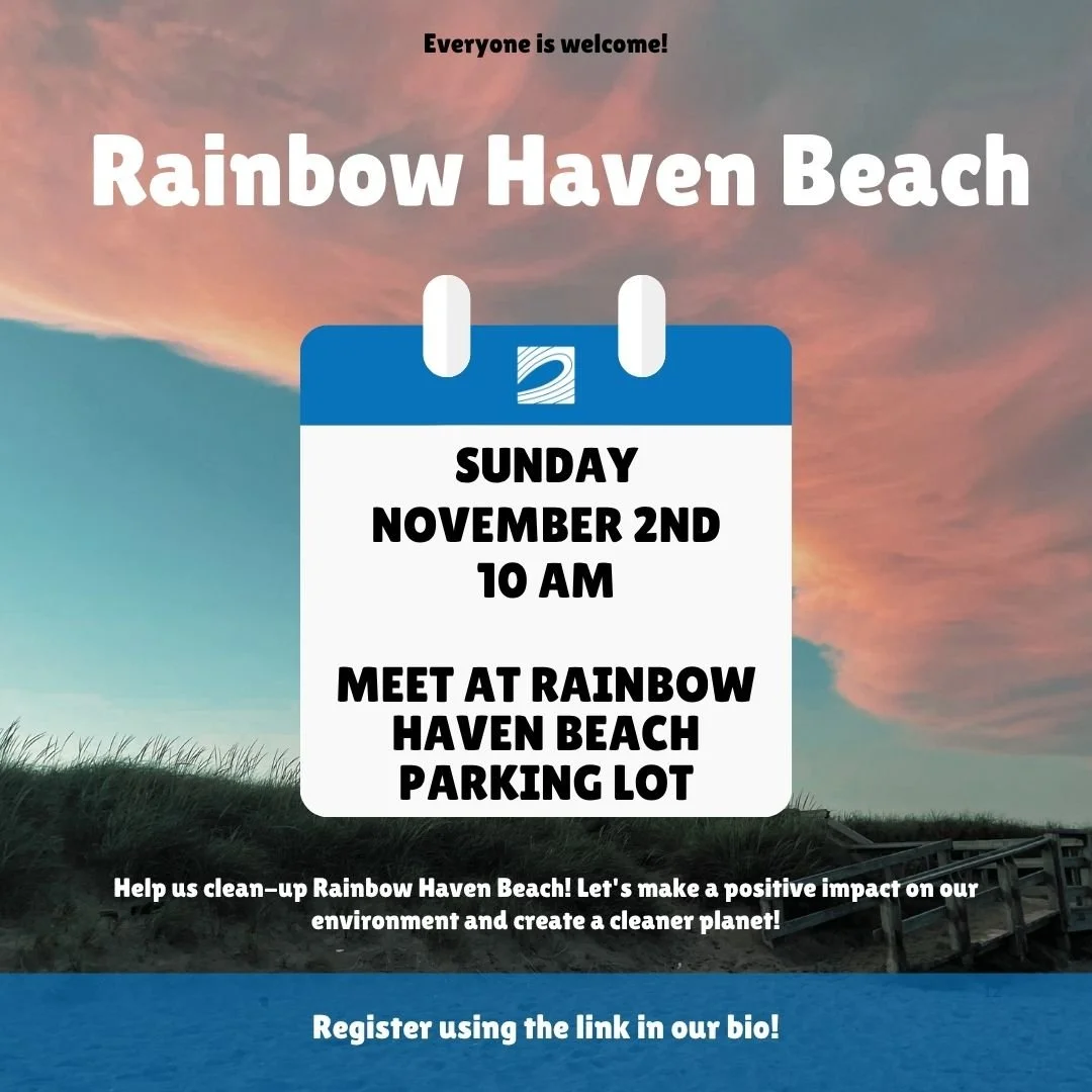 Rainbow haven beach Clean-Up