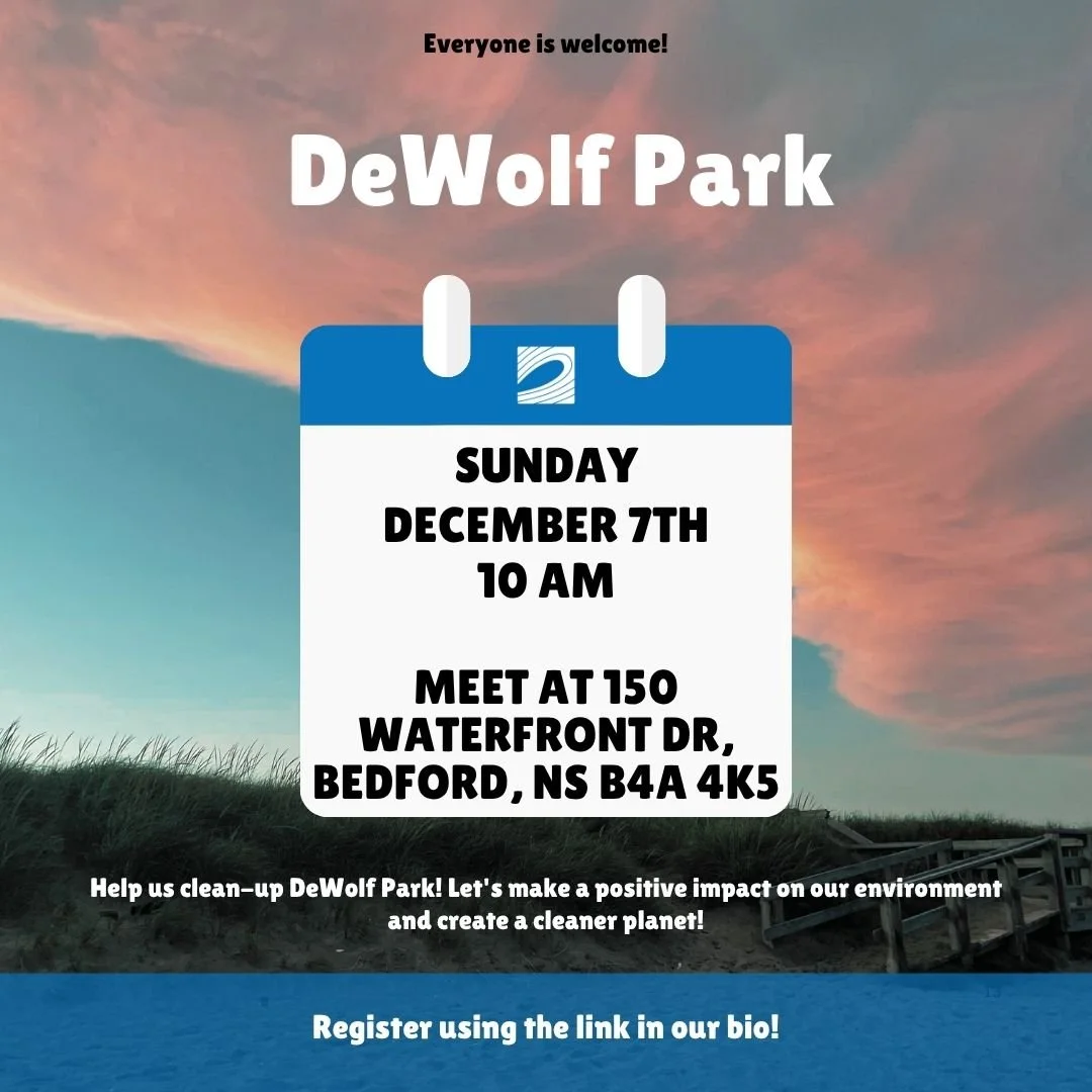 Dewolf park Clean-Up