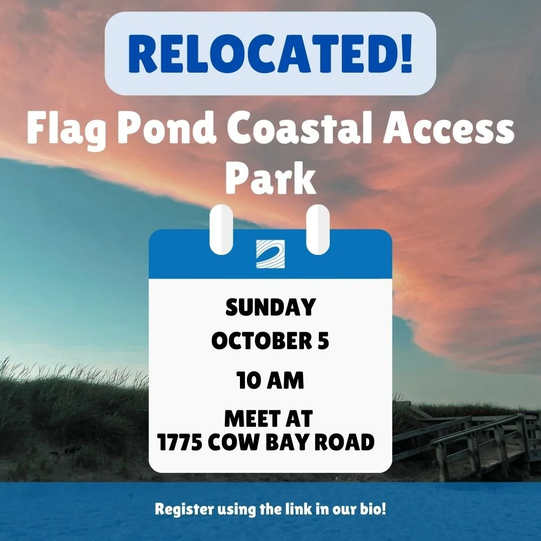 ***NEW LOCATION*** 
Please join us at the Flag Pond Coastal Access Park at 1775 Cow Bay Road on Sunday, October 5 at 10 a.m. for our monthly beach clean-up! 
NOTE: this is a new location due to the closure of Martinique Beach. Register using the lin