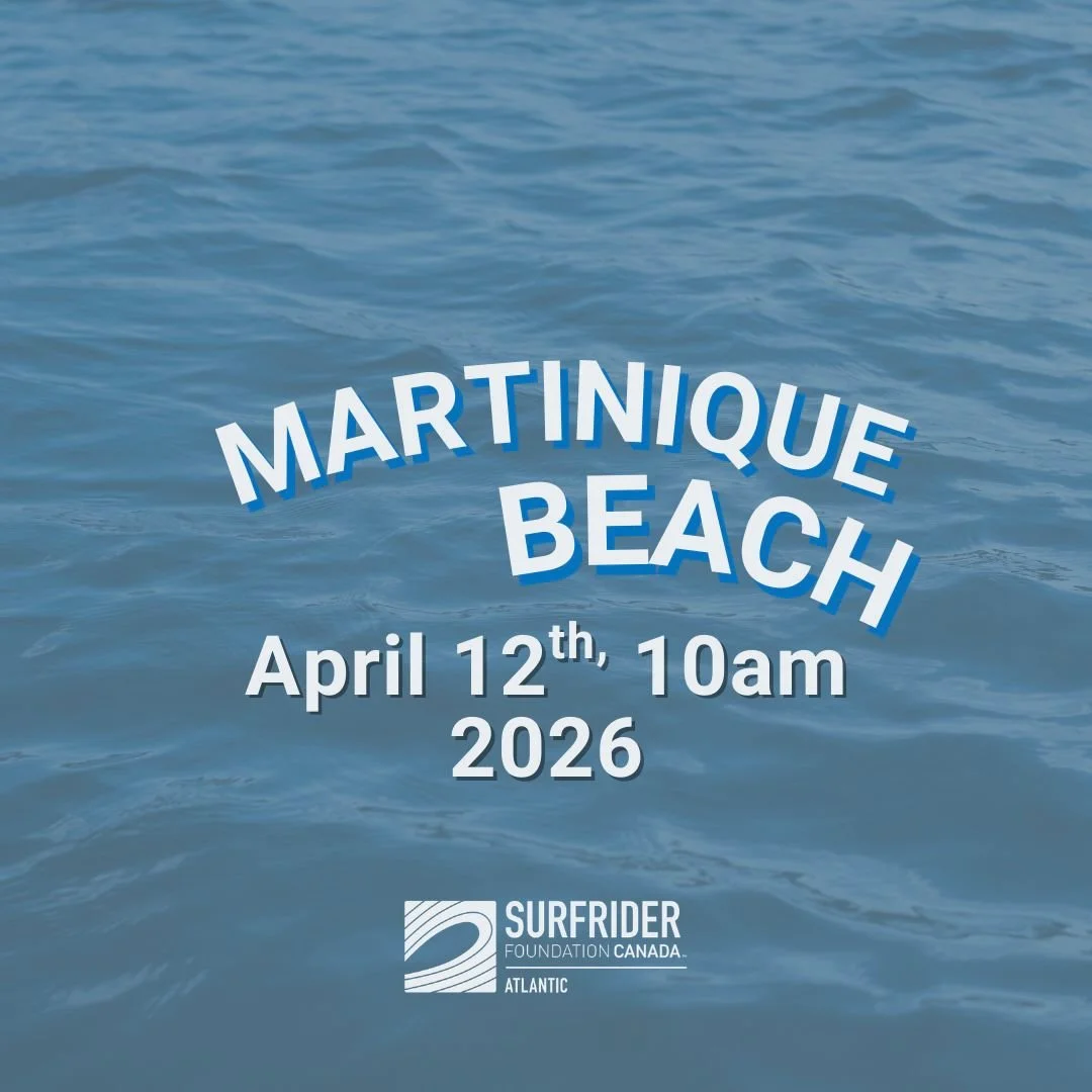 Martinique Beach Clean-up