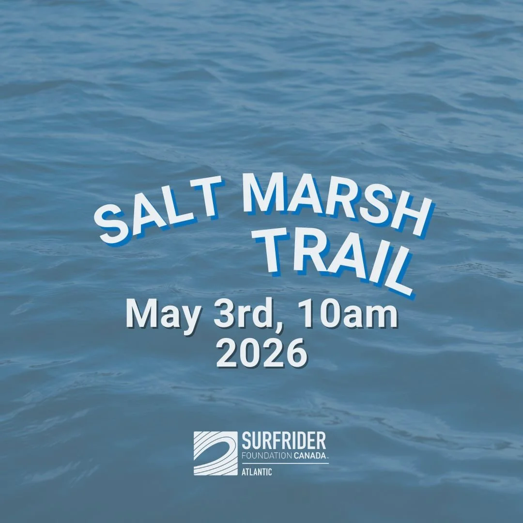 Silver Sands Beach Clean-up