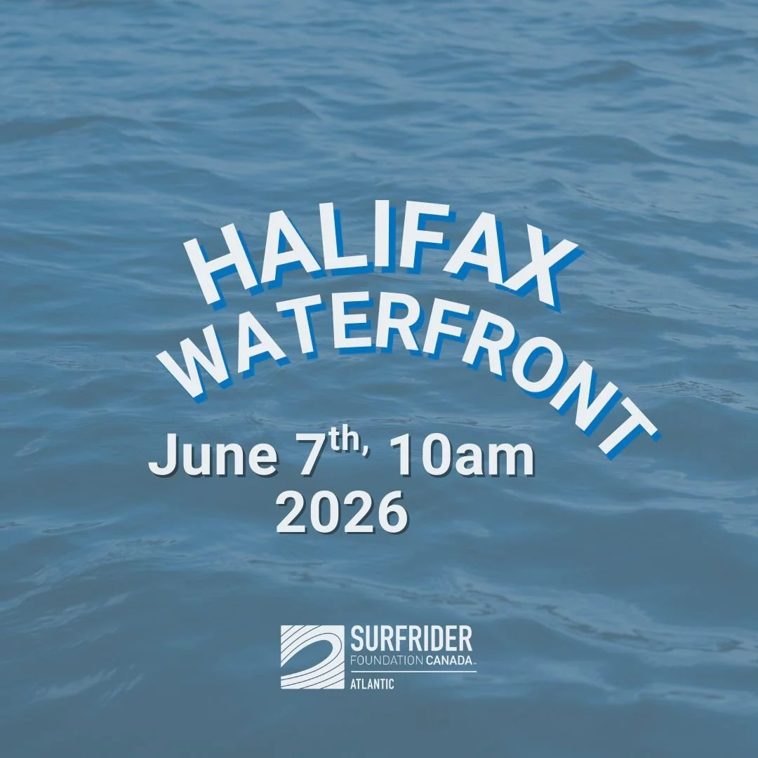 Halifax Waterfront clean-up