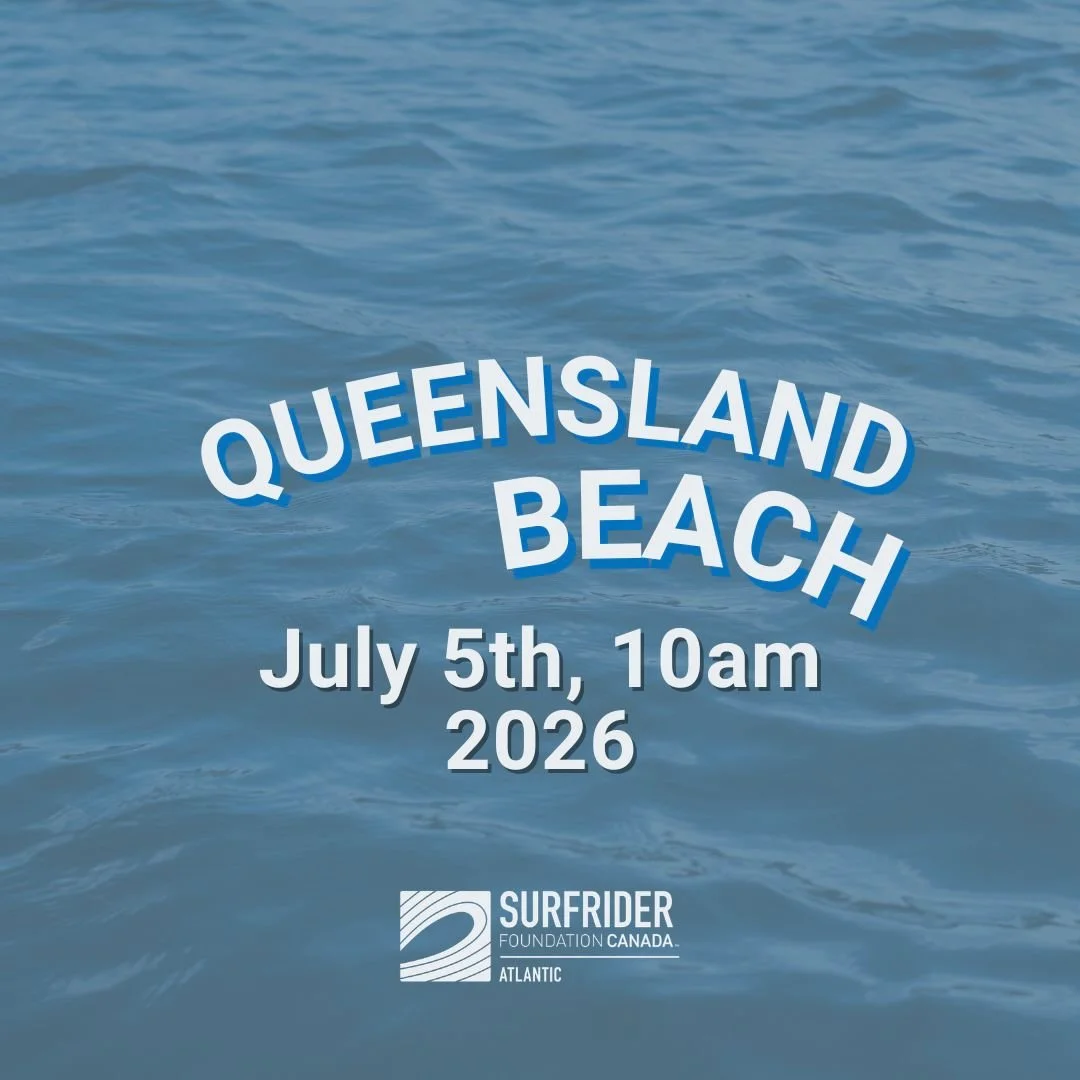 Queensland Beach Clean-up