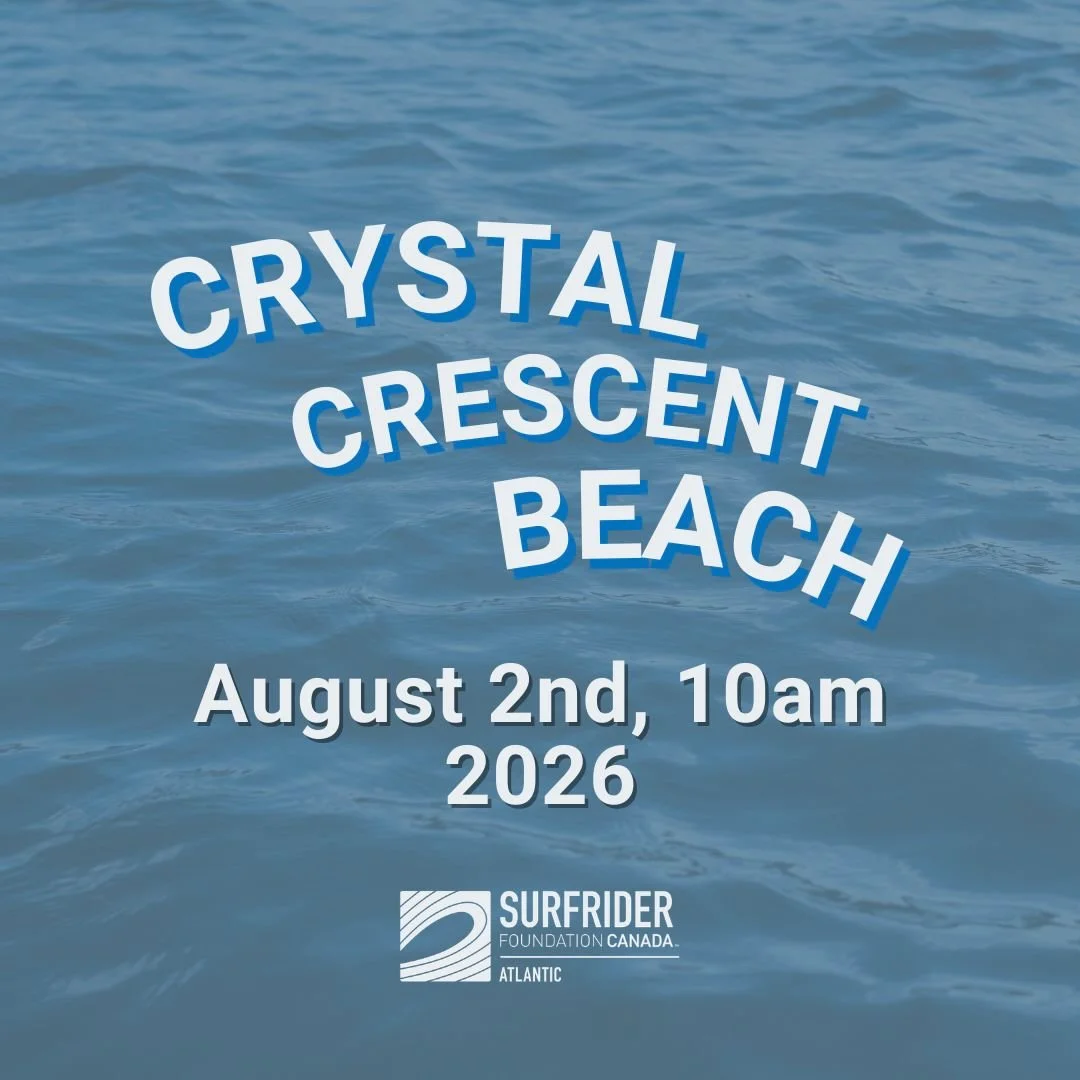 Crystal Crescent Beach Clean-up