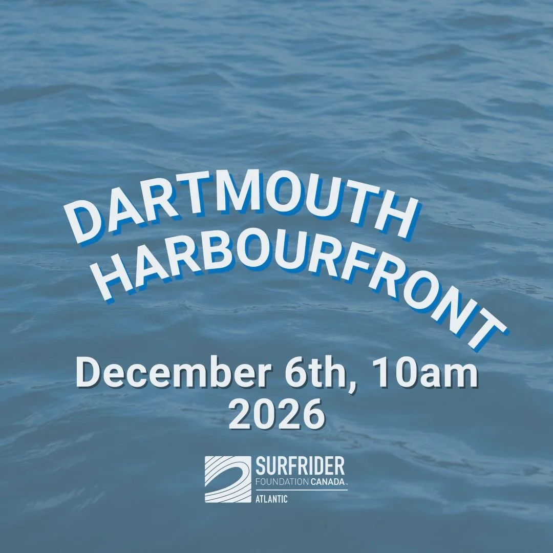 Dartmouth Waterfront Trail Clean-up
