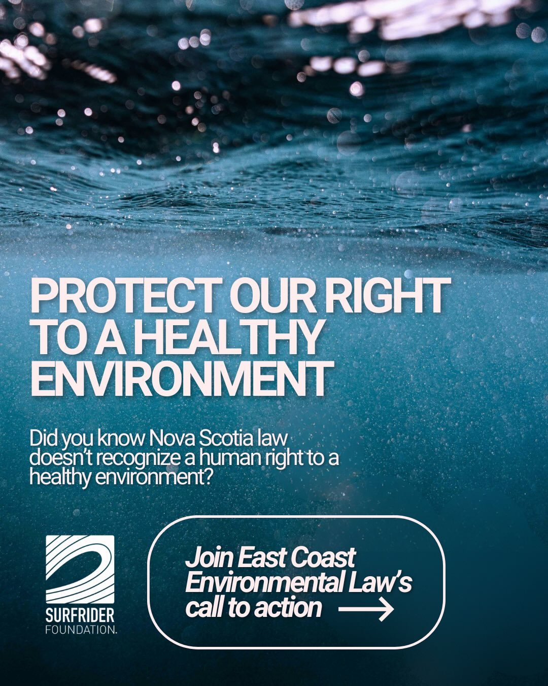 Protect Our Right to a Healthy Environment in Nova Scotia! 🌼🌊🌳

Did you know Nova Scotia still doesn&rsquo;t legally recognize a human right to breathe clean air, drink safe water, and live without toxic soil.
With East Coast Environmental Law&rsq