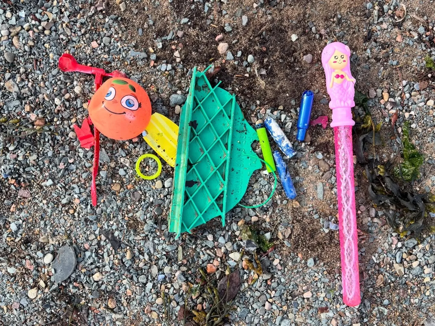 🚨 Happy Nova Scotia Litter Clean-up Day! 🚨 

One of our volunteers noticed this morning that a city beach park could use some 💙. And in about 5 minutes, she collected a few interesting items (and a bunch of less photogenic things). 

If you can ge