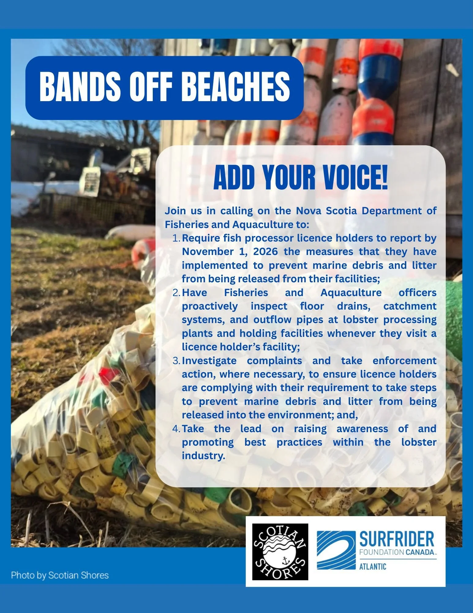 🚨 TAKE ACTION FOR CLEANER COASTS! 🚨 

So far in 2026, volunteers from @scotianshores have collected over 350,000 lobster bands from Nova Scotian shorelines, many of which appear to be coming directly from fishing facilities.  This is a staggering a