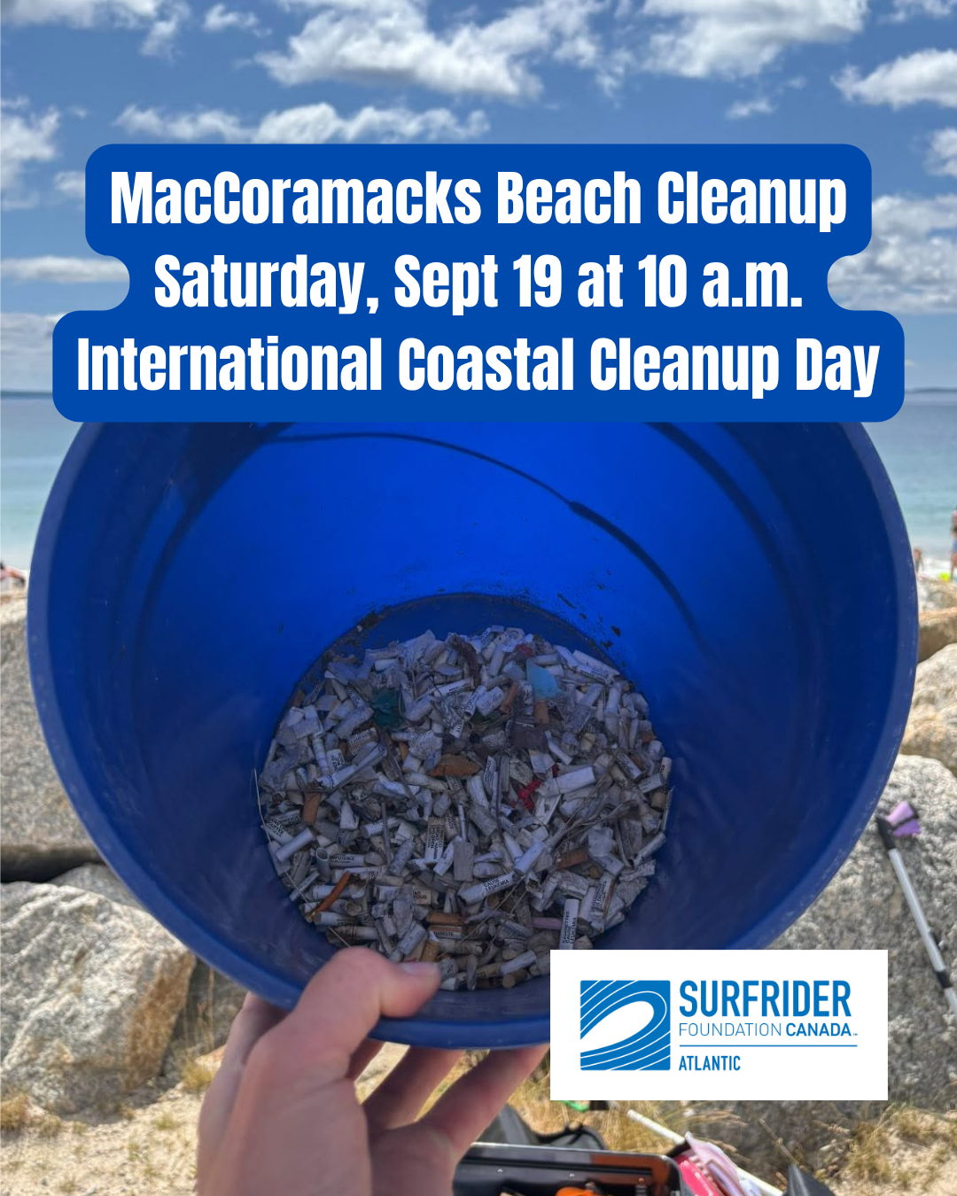 MacCormacks Beach Clean-up