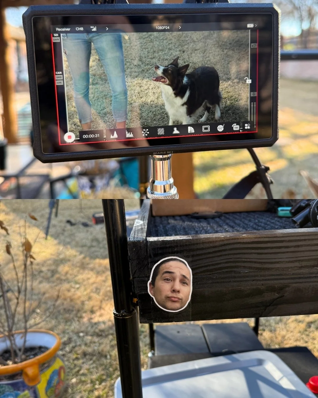 A video monitor displays a woman with jeans and a dog with a black and white coat outdoors. In the foreground, a sticker of a man's face is attached to a black wooden structureVideo Production Fort Worth, Texas. Fort Worth, Texas production company. 