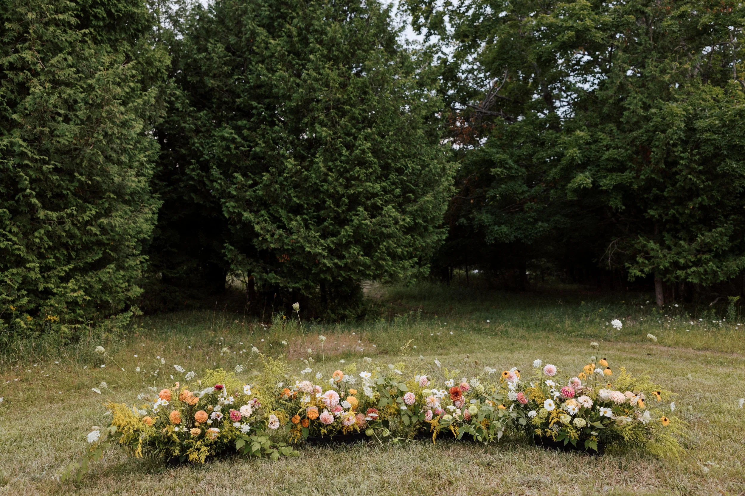 bethany_damon_wedding 0906.jpg