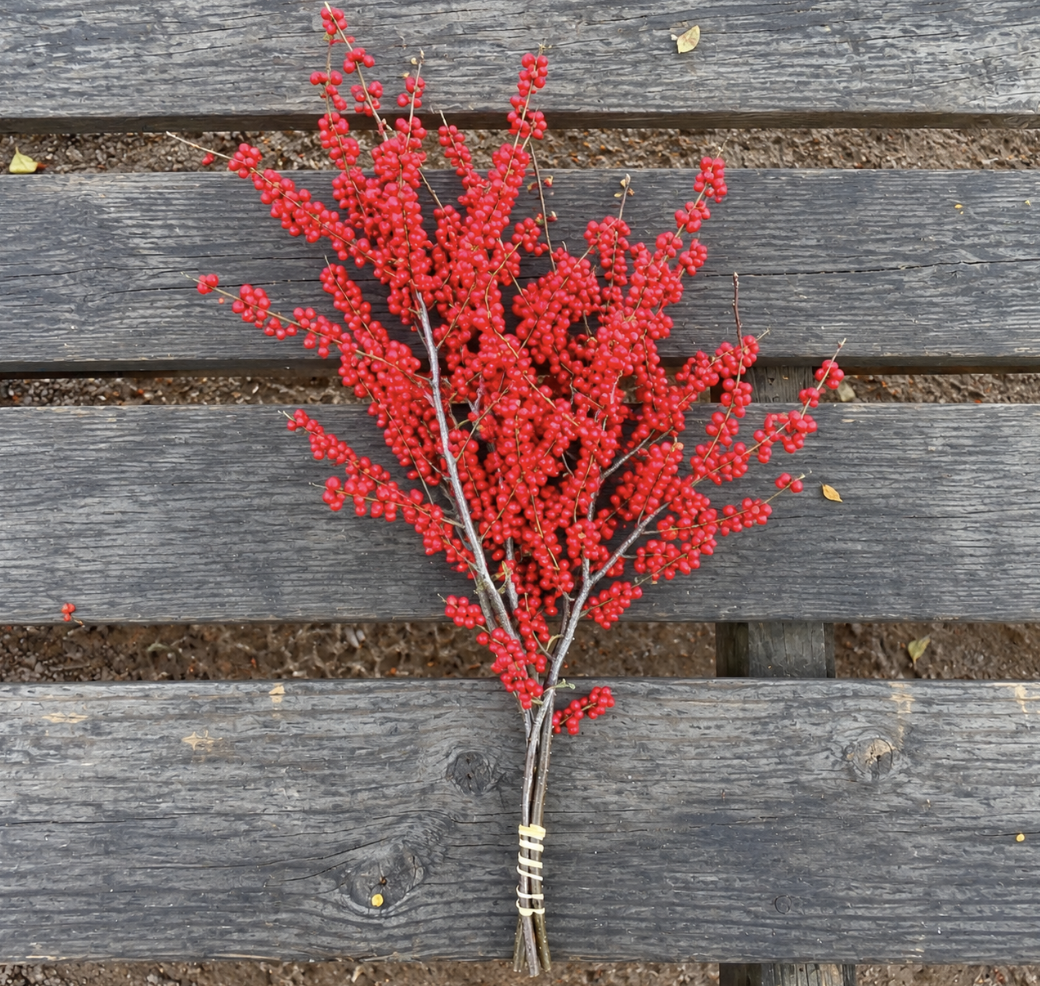 Winterberry Bundle