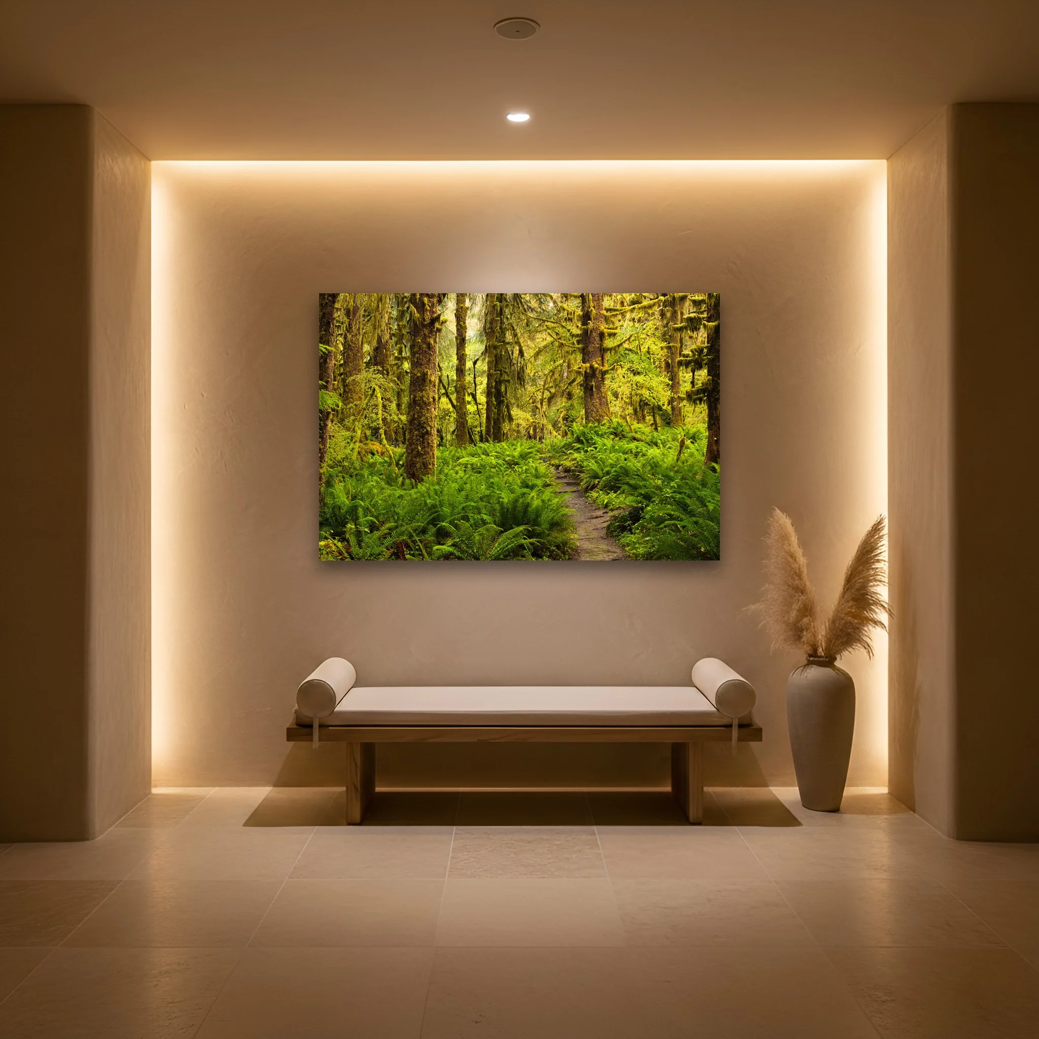 Luxury-Wellness-Retreat-Hallway-Hoh-Rainforest-Curtis-Harsh-Photography.jpg