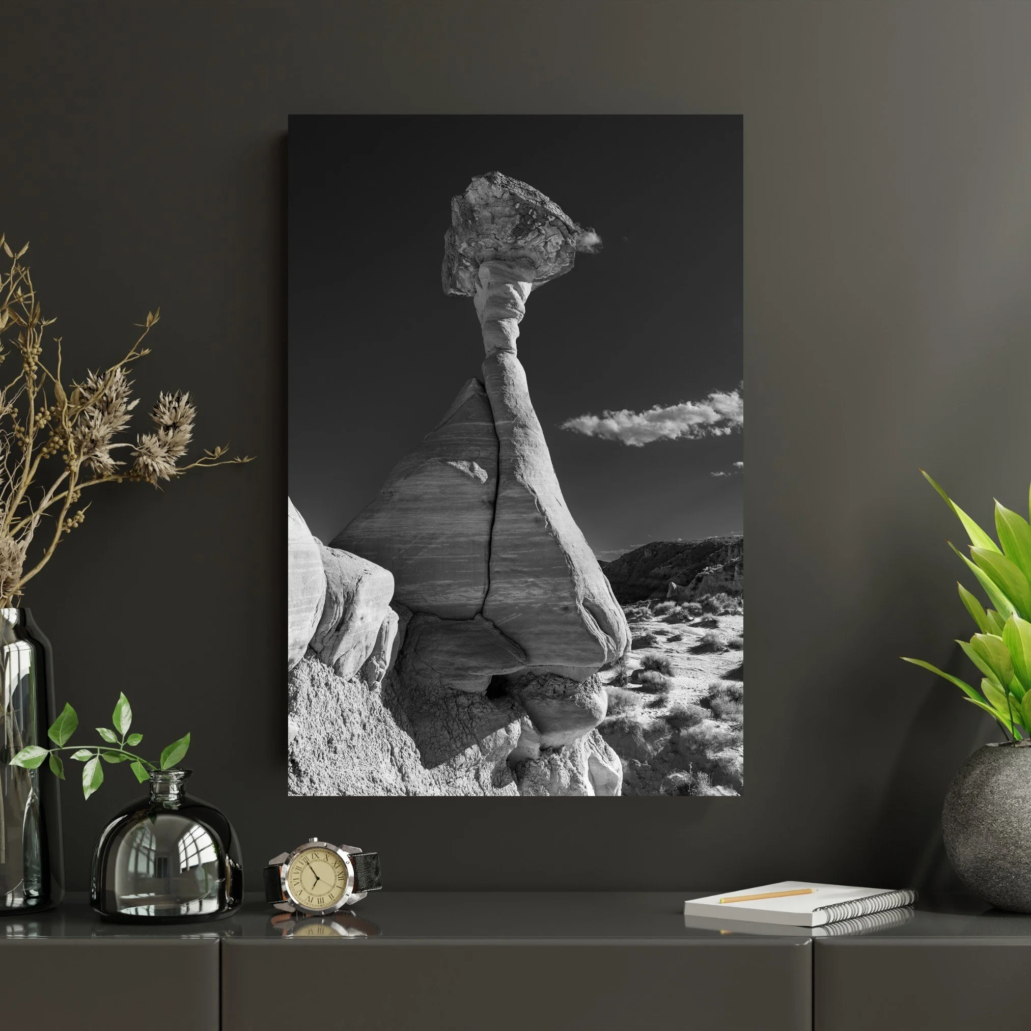 Black-Modern-Photography-Metal-Mockup-Toadstool-Hoodoo-Curtis-Harsh-Photography.jpg