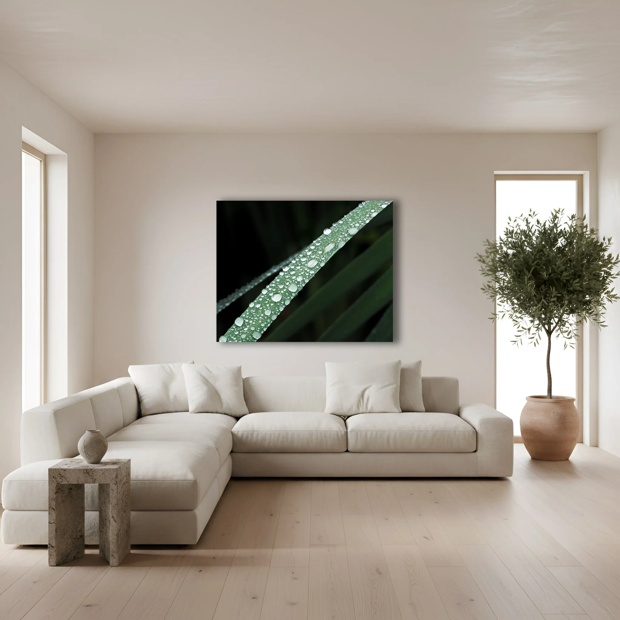 Water droplets rest on this macro shot of a blade of grass.