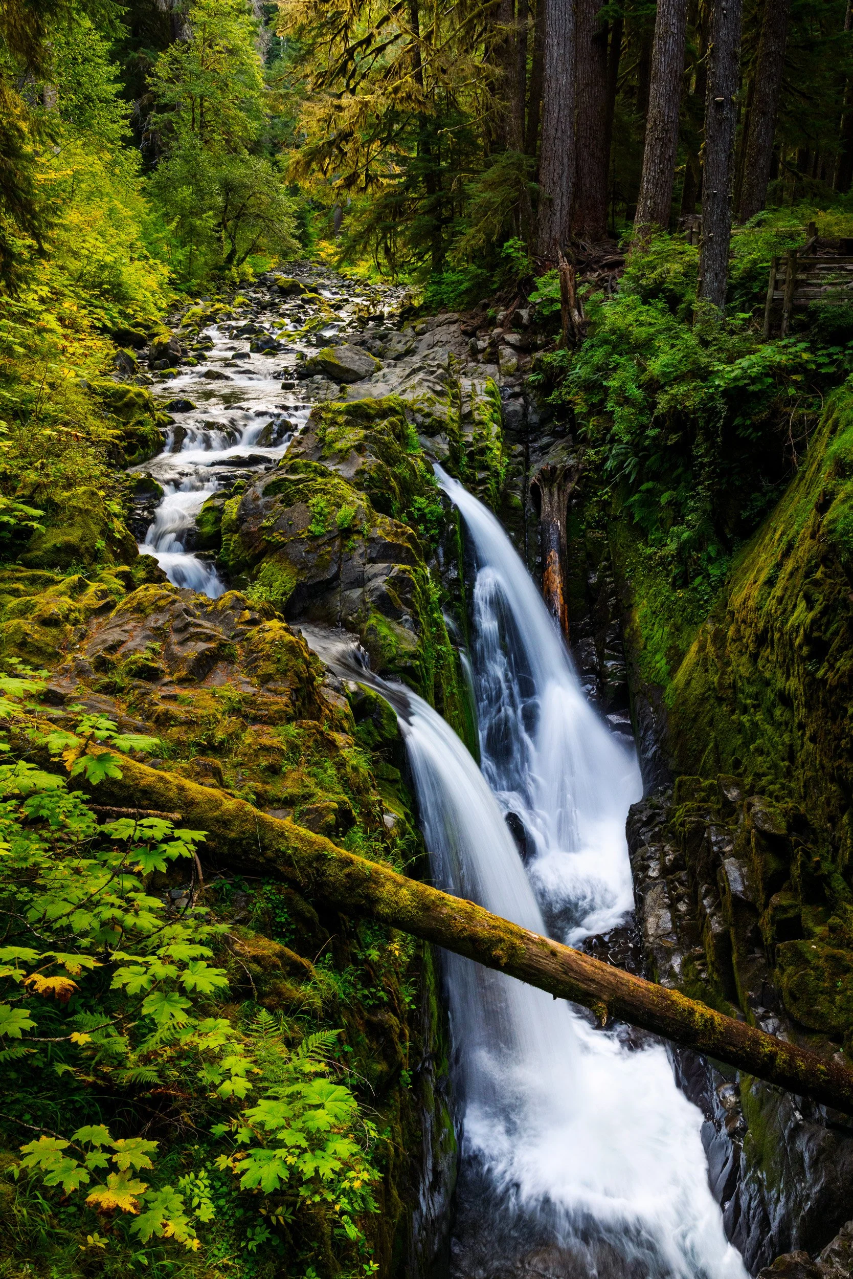 Sol-Duc-Falls-Olympic-National-Park.jpg