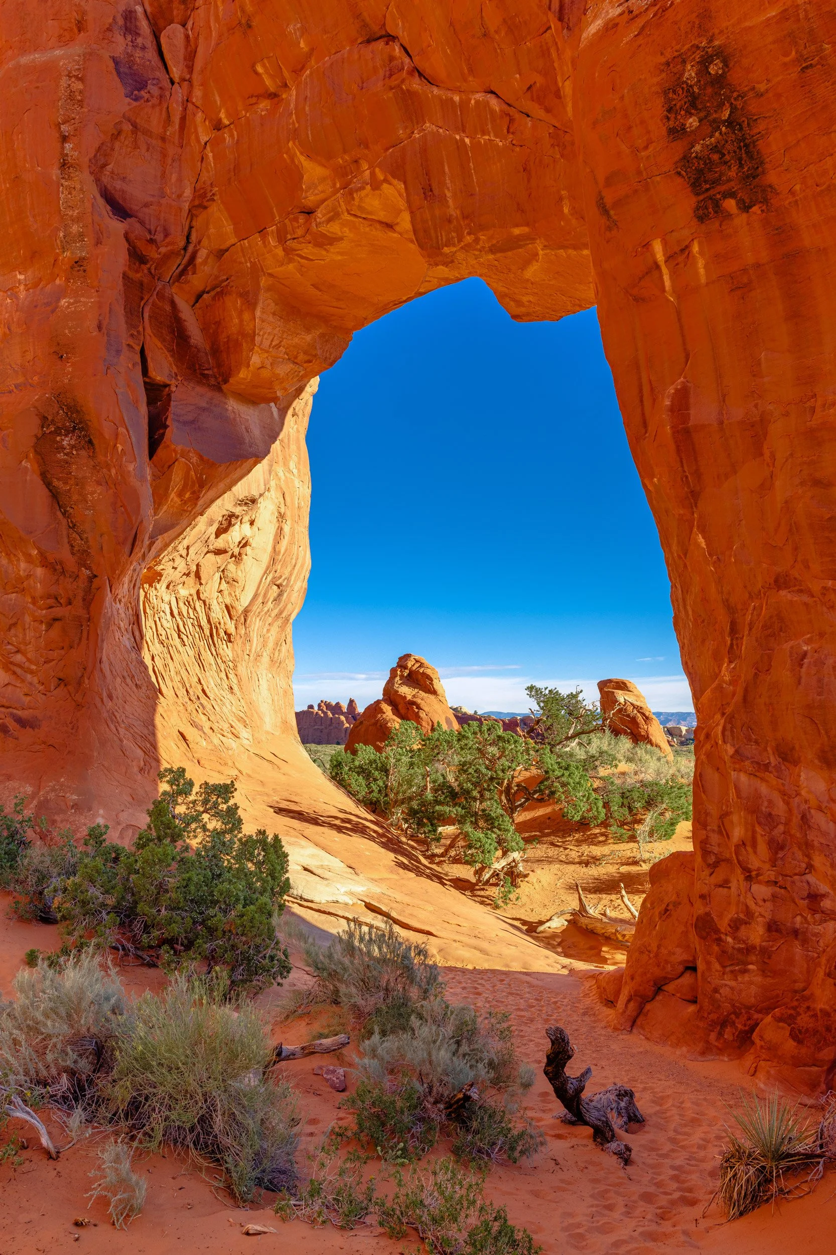Pine-Tree-Arch-Arches-National-Park.jpg