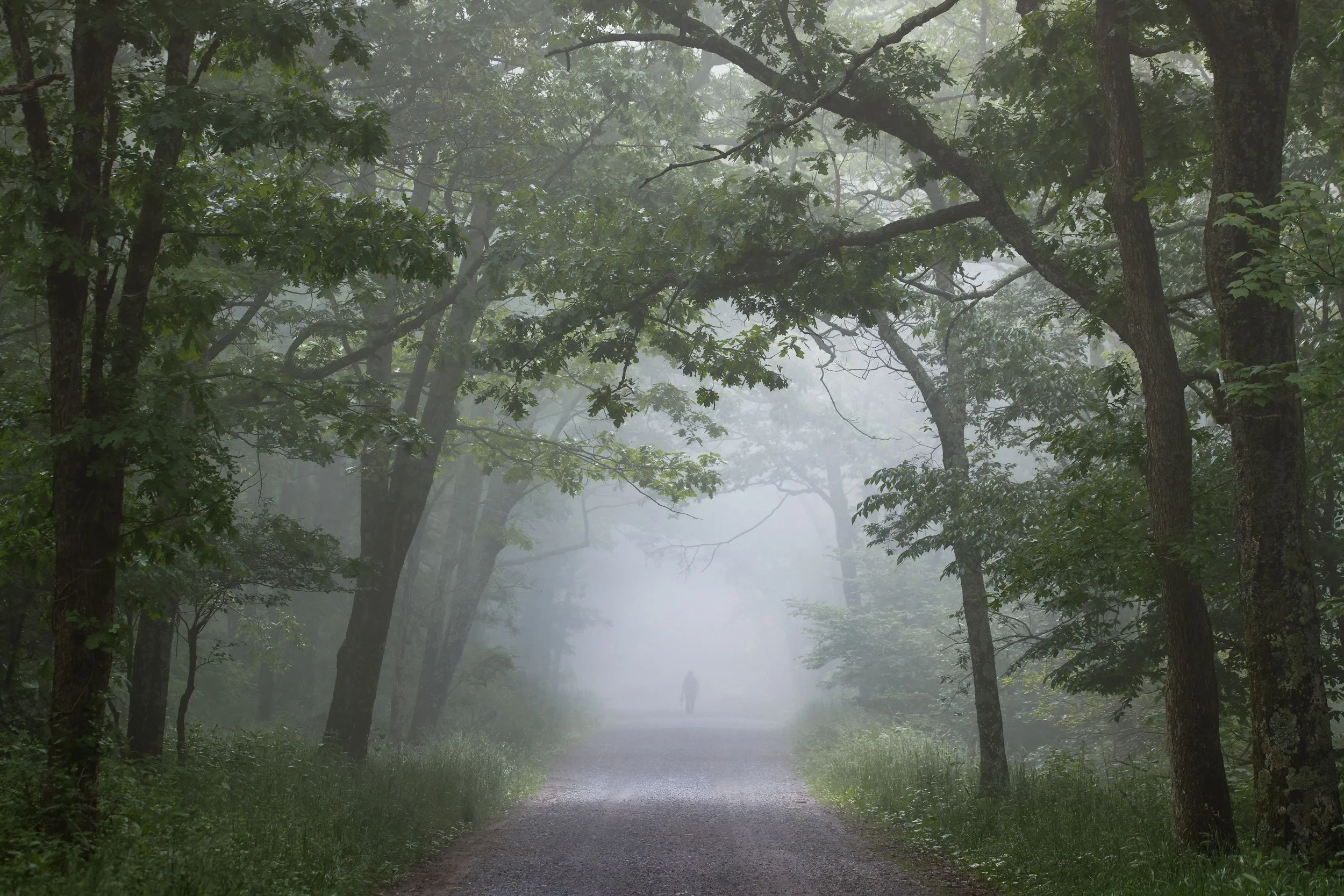 Hiker-In-Foggy-Forest-Shenandoah-National-Park.jpg