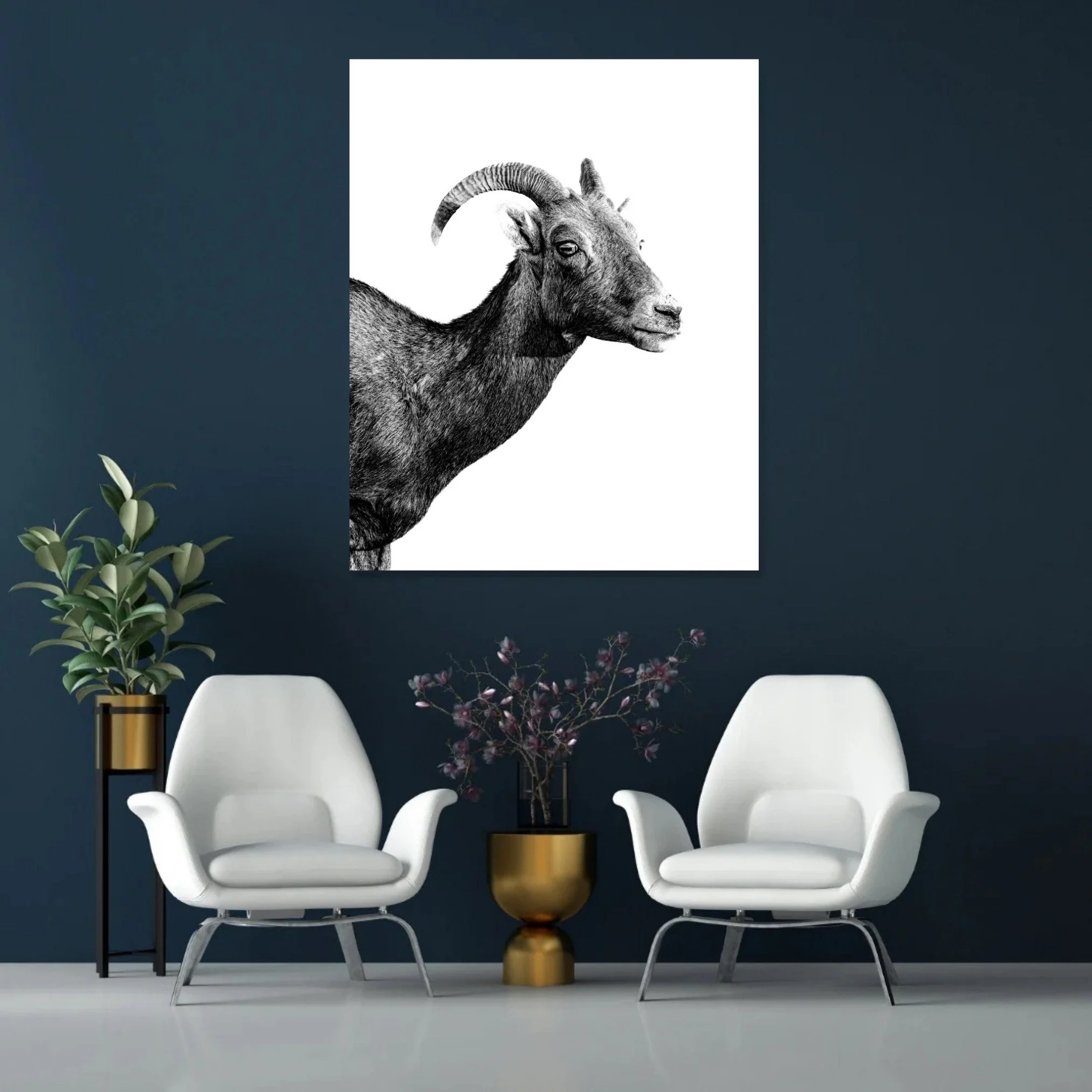 Blue-Wall-Sitting-Area-Fine-Art-Bighorn-Sheep-Ewe-Curtis-Harsh-Photography.jpg
