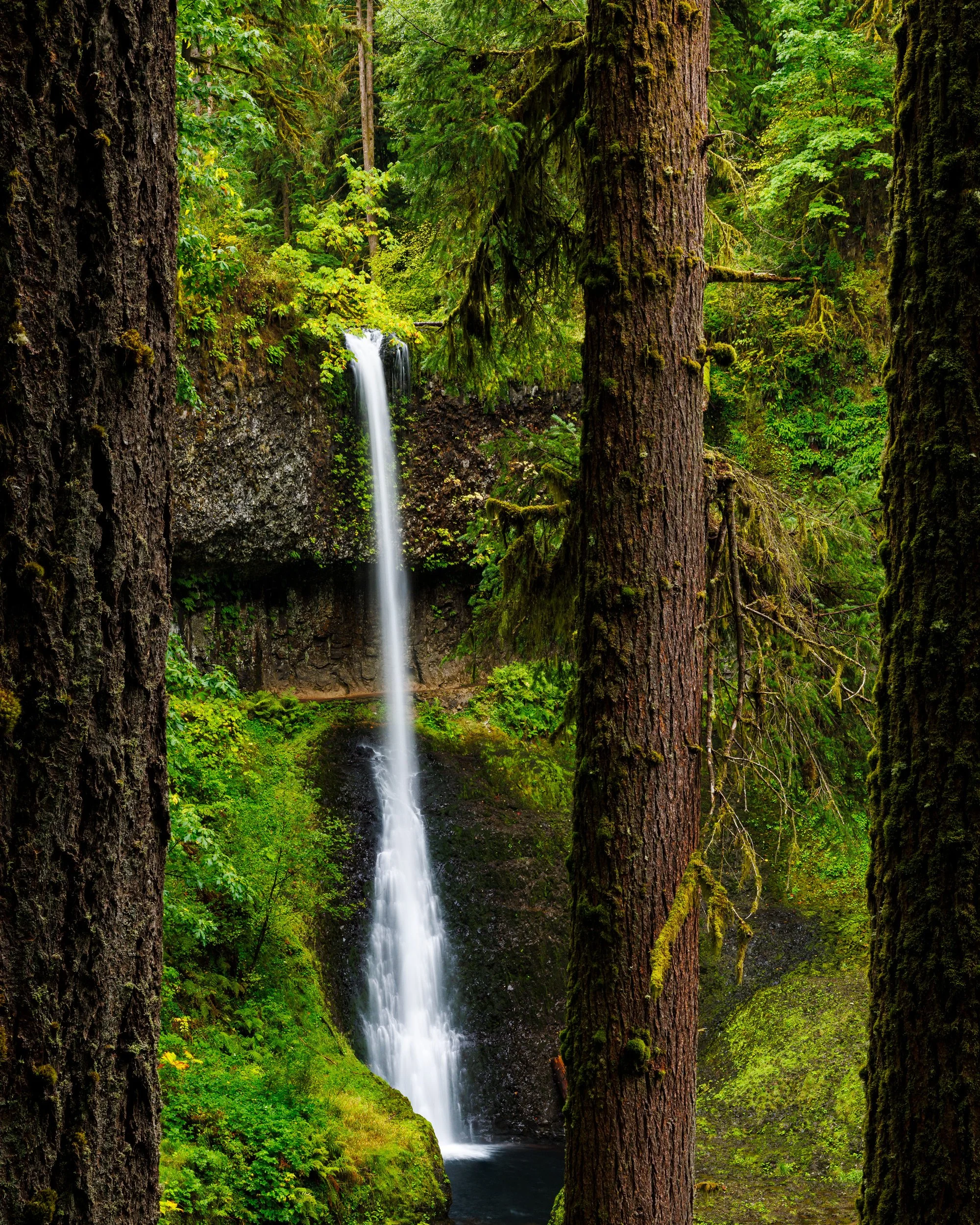 Middle-North-Falls-Silver-Falls-State-Park.jpg