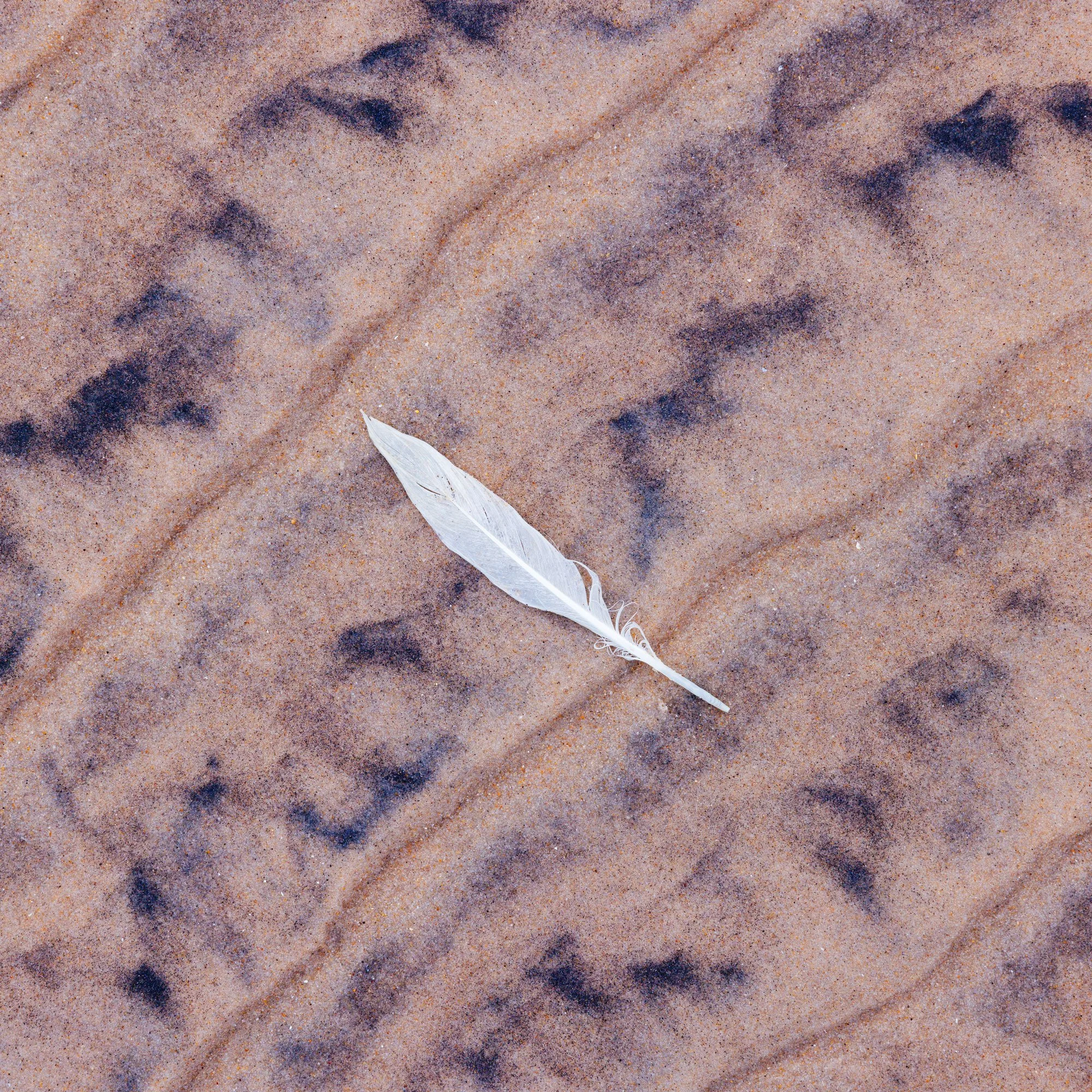 Macro photograph of rippling sand texture showing natural patterns formed by wind and light. Diagonal lines in the sand are contrasted by a white feather laying opposite.