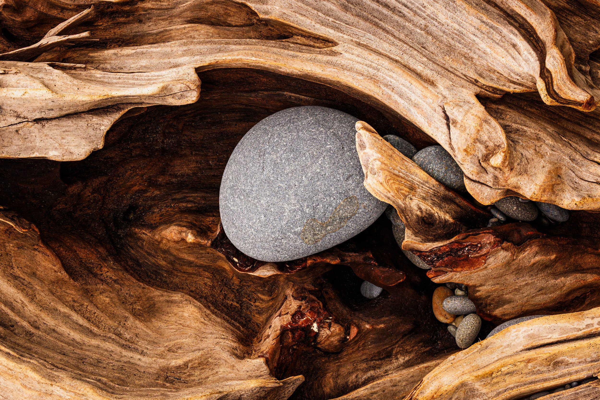 Best Sellers & Personal Favorites