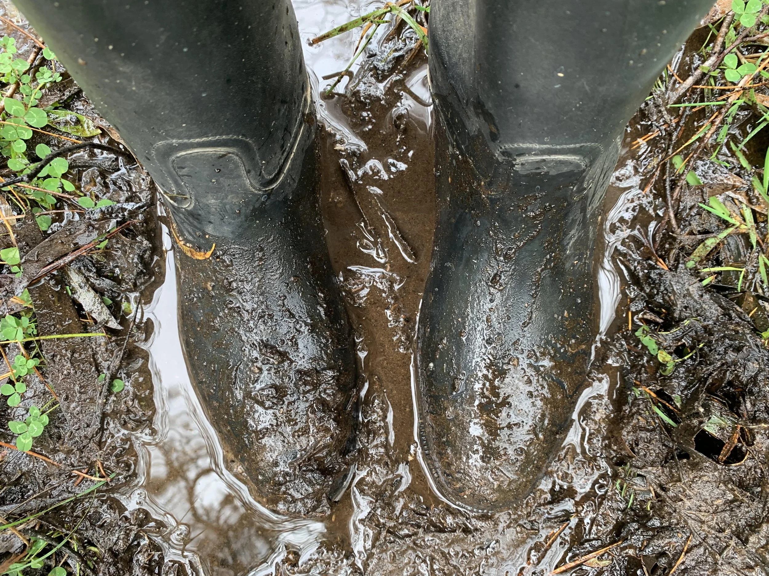 Gumboots with my business suit?