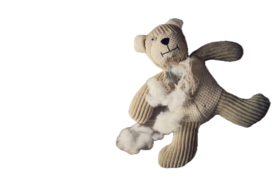 A worn beige teddy bear with a torn appearance, missing parts with stuffing exposed, lying on a black background.