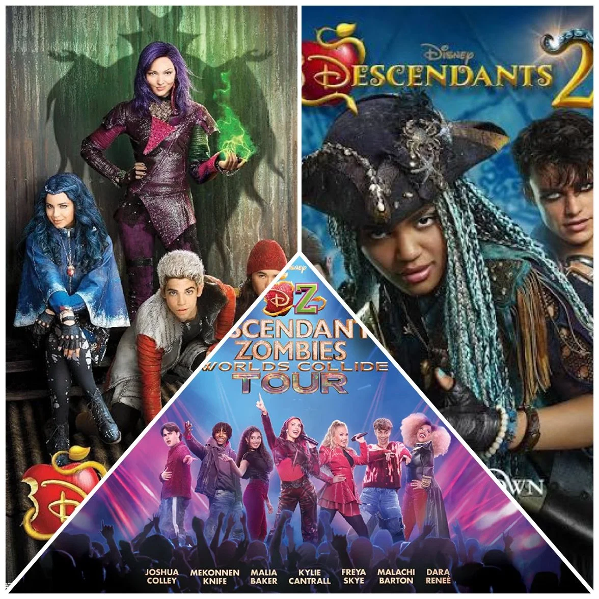 DESCENDANTS FRANCHISE
