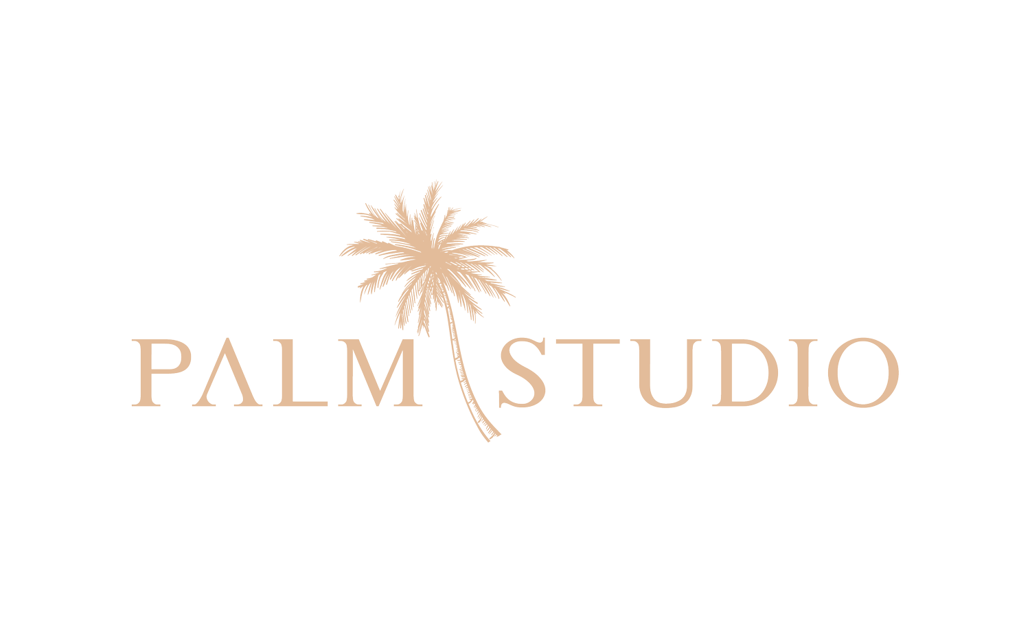 Palm Studio