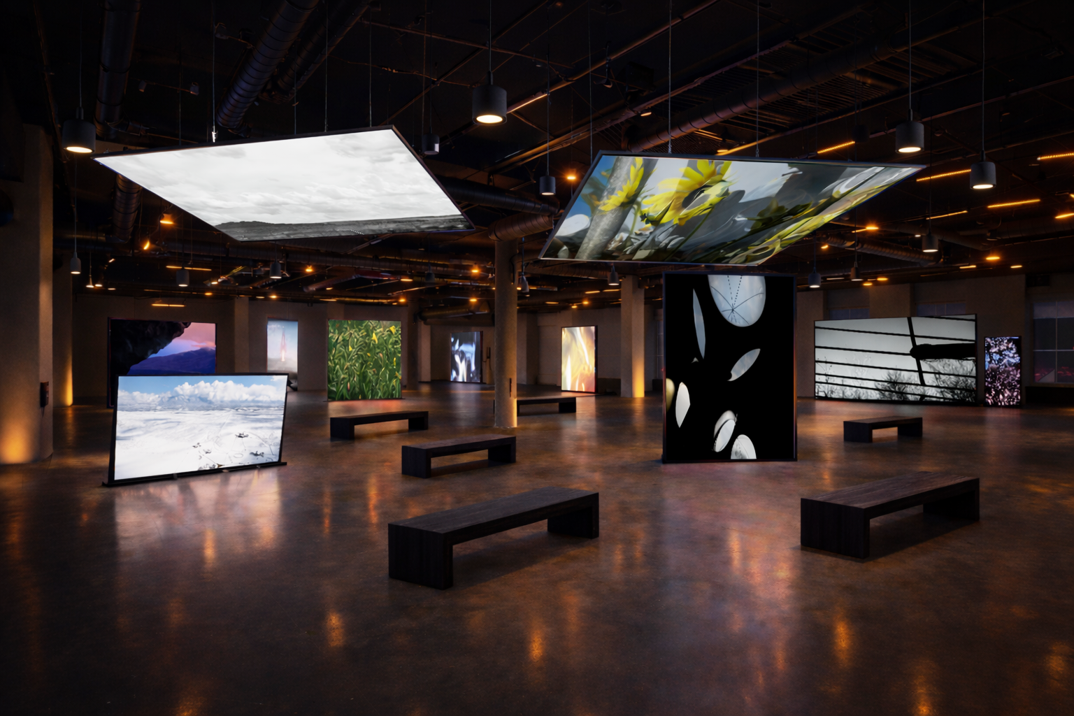 Video Gallery update.png