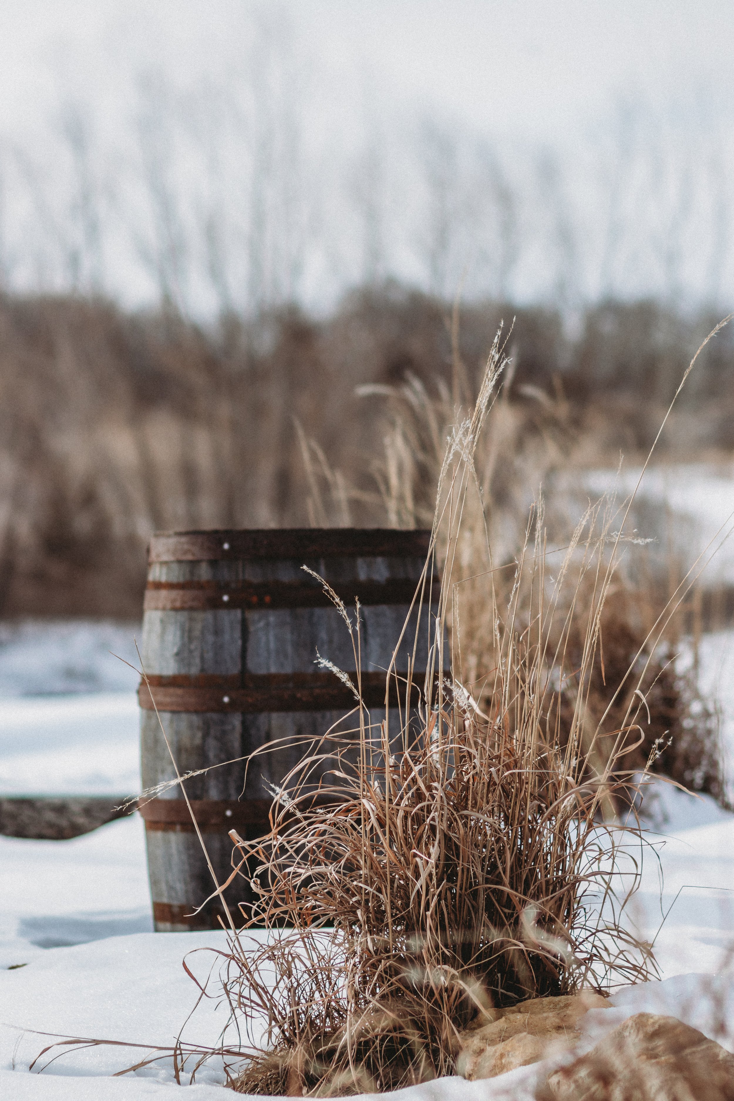 A weathered wooden barrel surrounded by dry, brown grasses in a snowy outdoor landscape with blurred trees in the background.