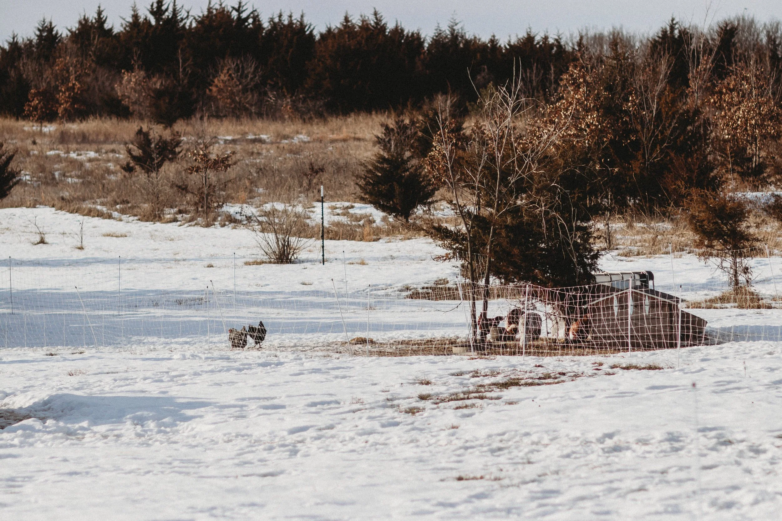 Rustic Wedding Venue Lecompton Kansas