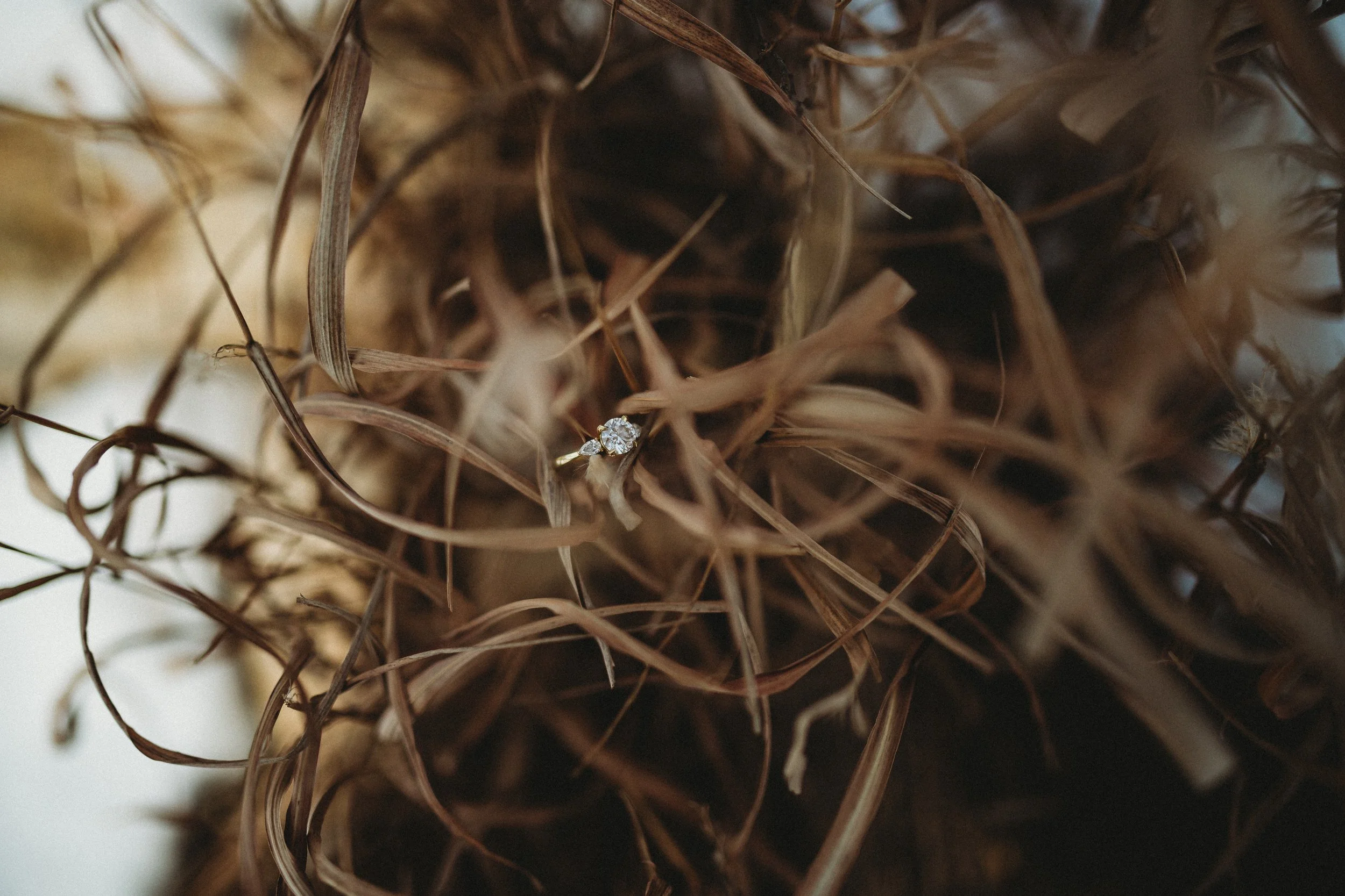 Ring Detail Shot Lawrence Kansas Wedding Photographer Amanda and Camera 