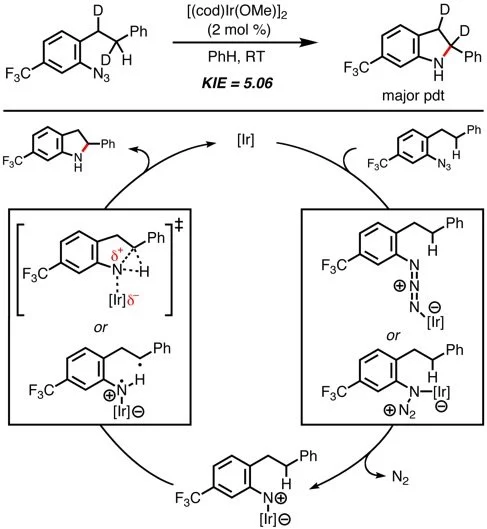 Nitrenoid Complex Mechanisms — Driver Group Chemistry
