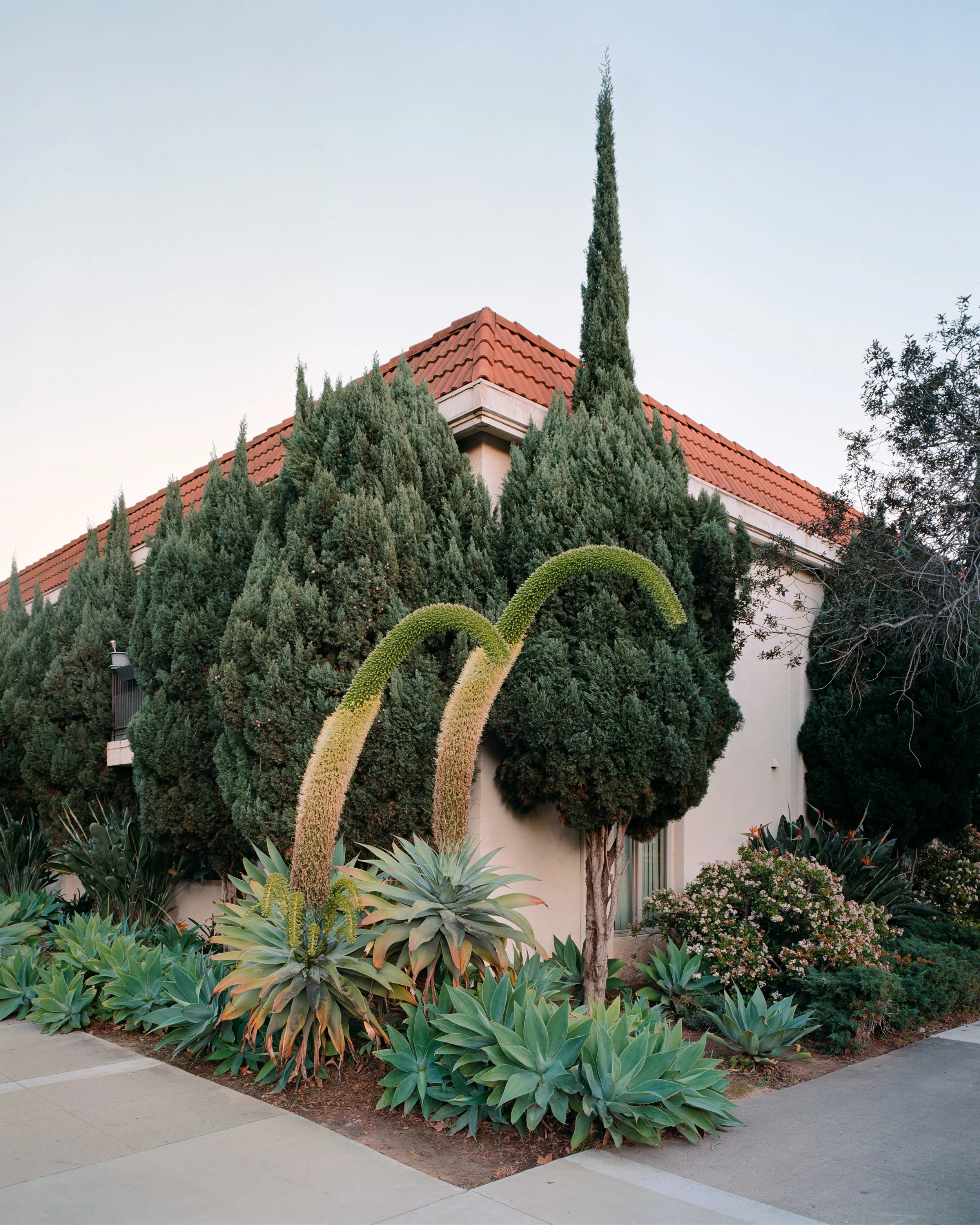 American Riviera Print Sale