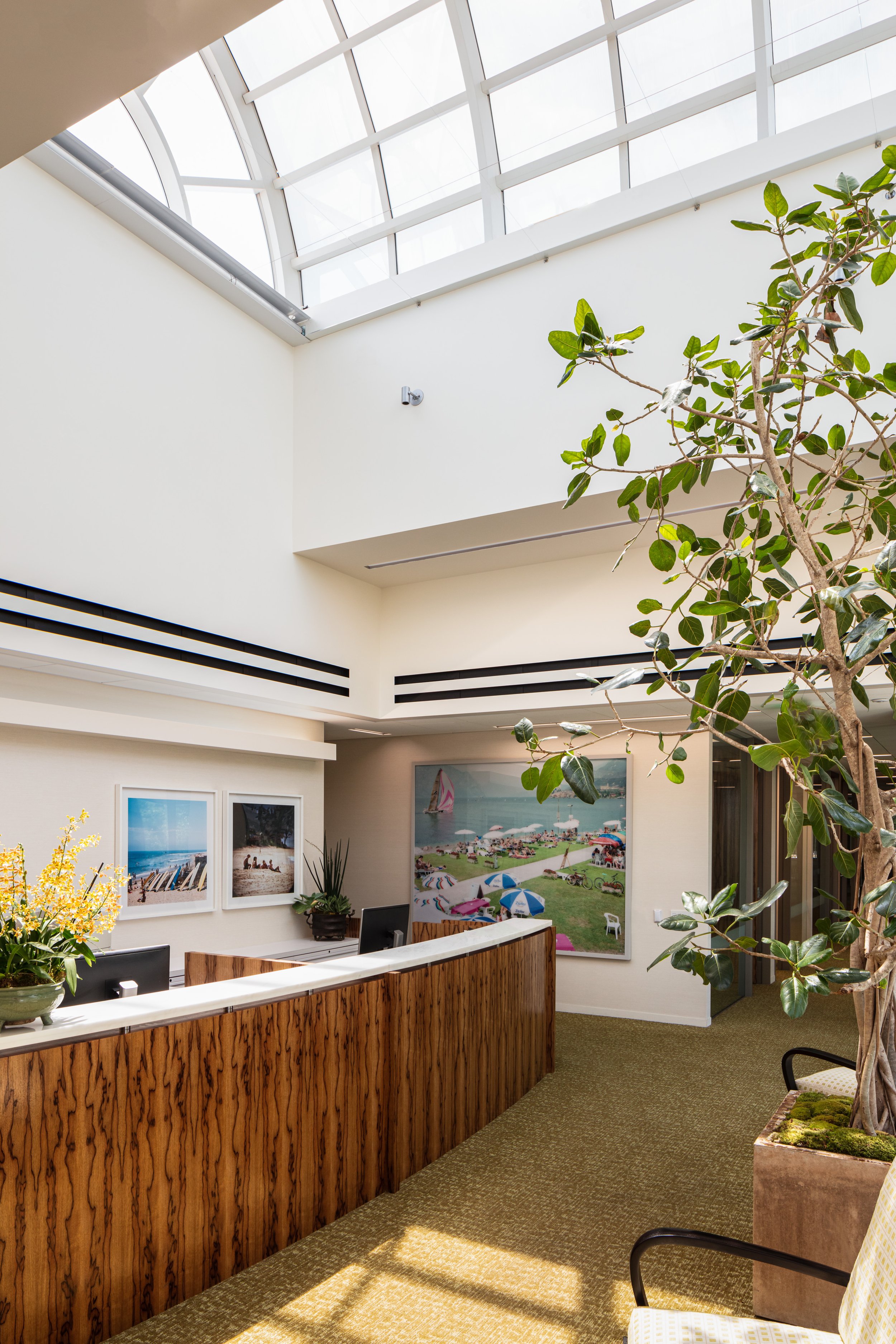 Bright modern hotel lobby with a skylight, wood reception desk, tropical plants, and beach artwork