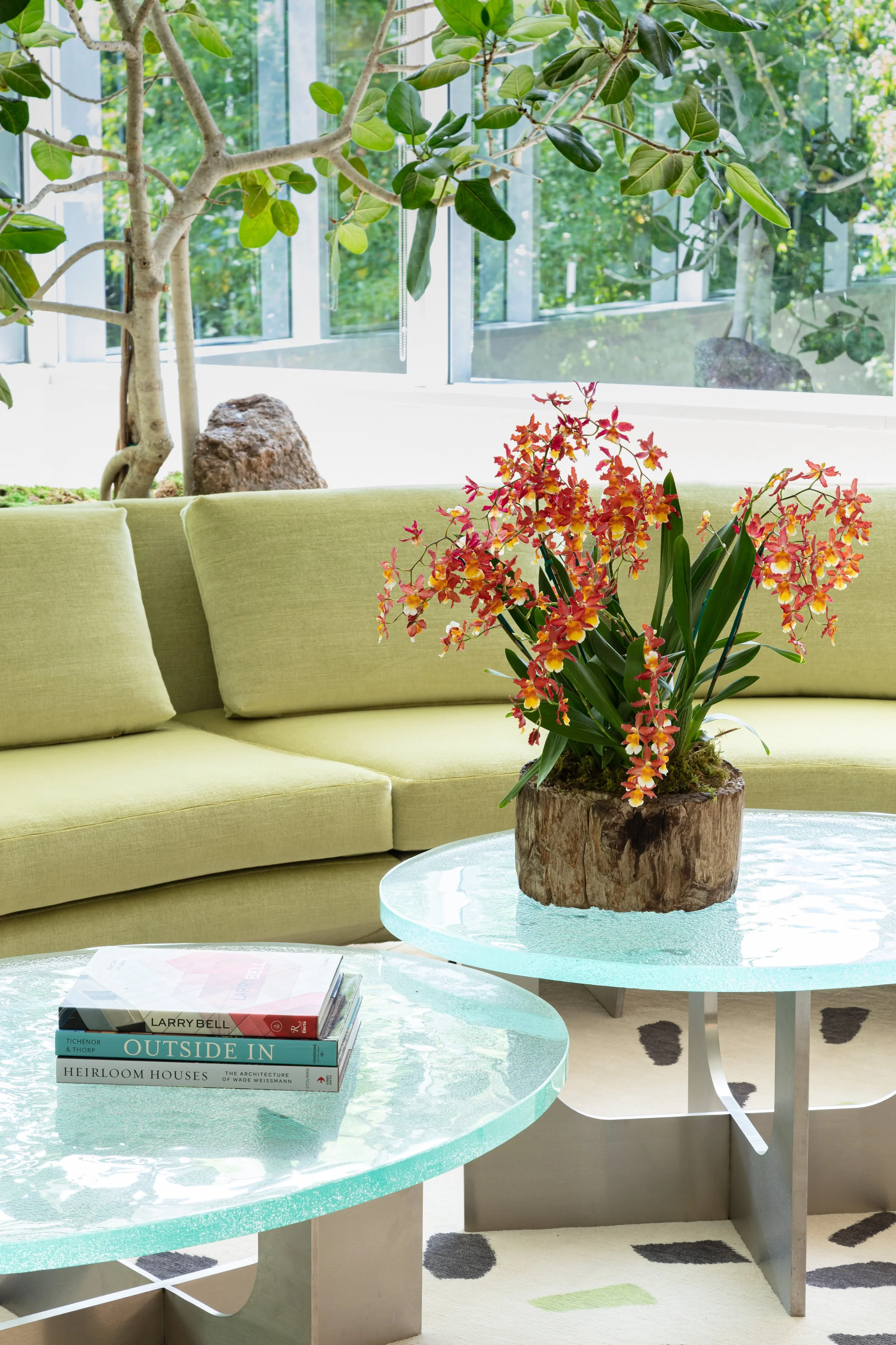 Bright modern living room with a green sofa, glass coffee tables, tropical tree, and vibrant orchid arrangement