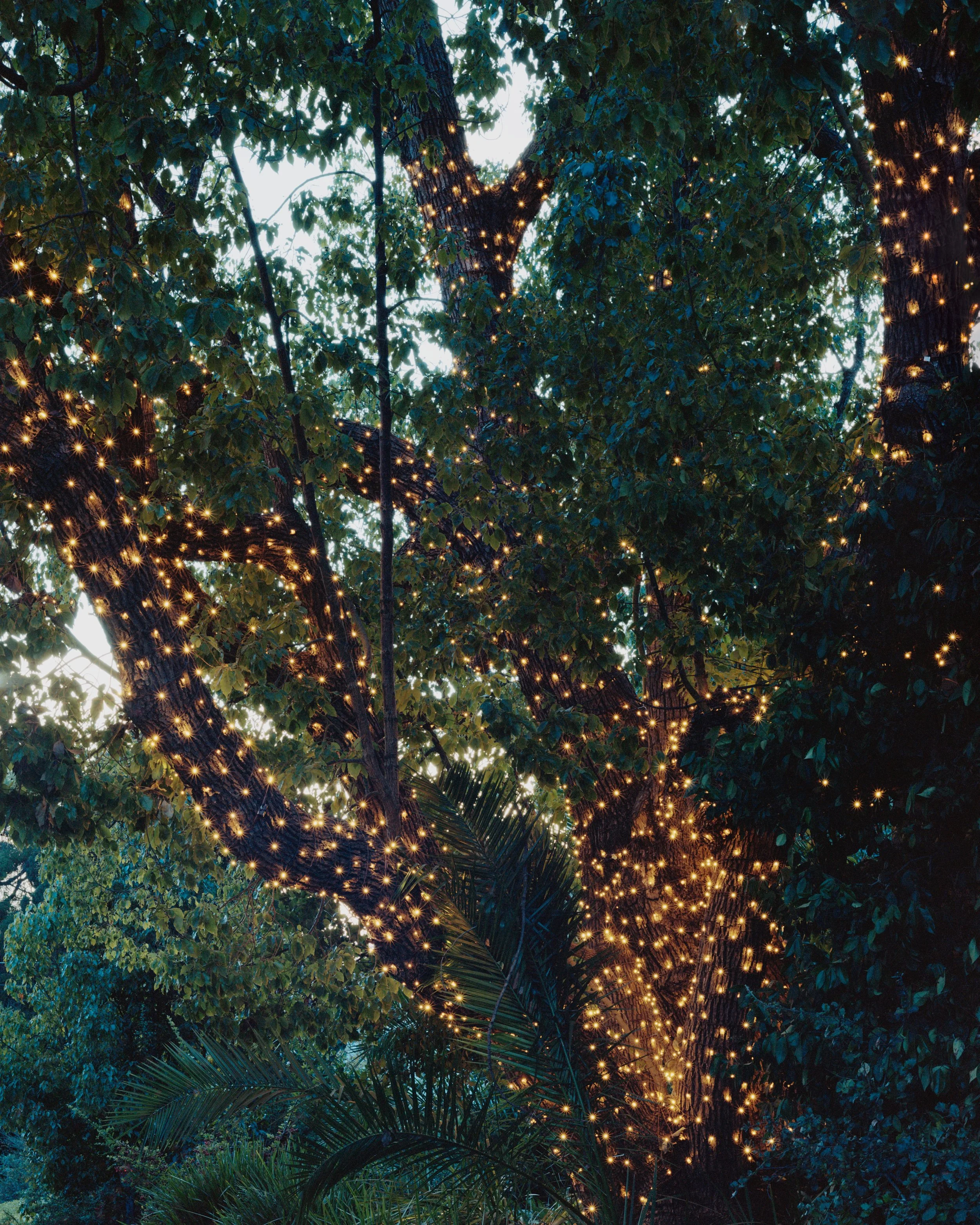 American Riviera Print Sale