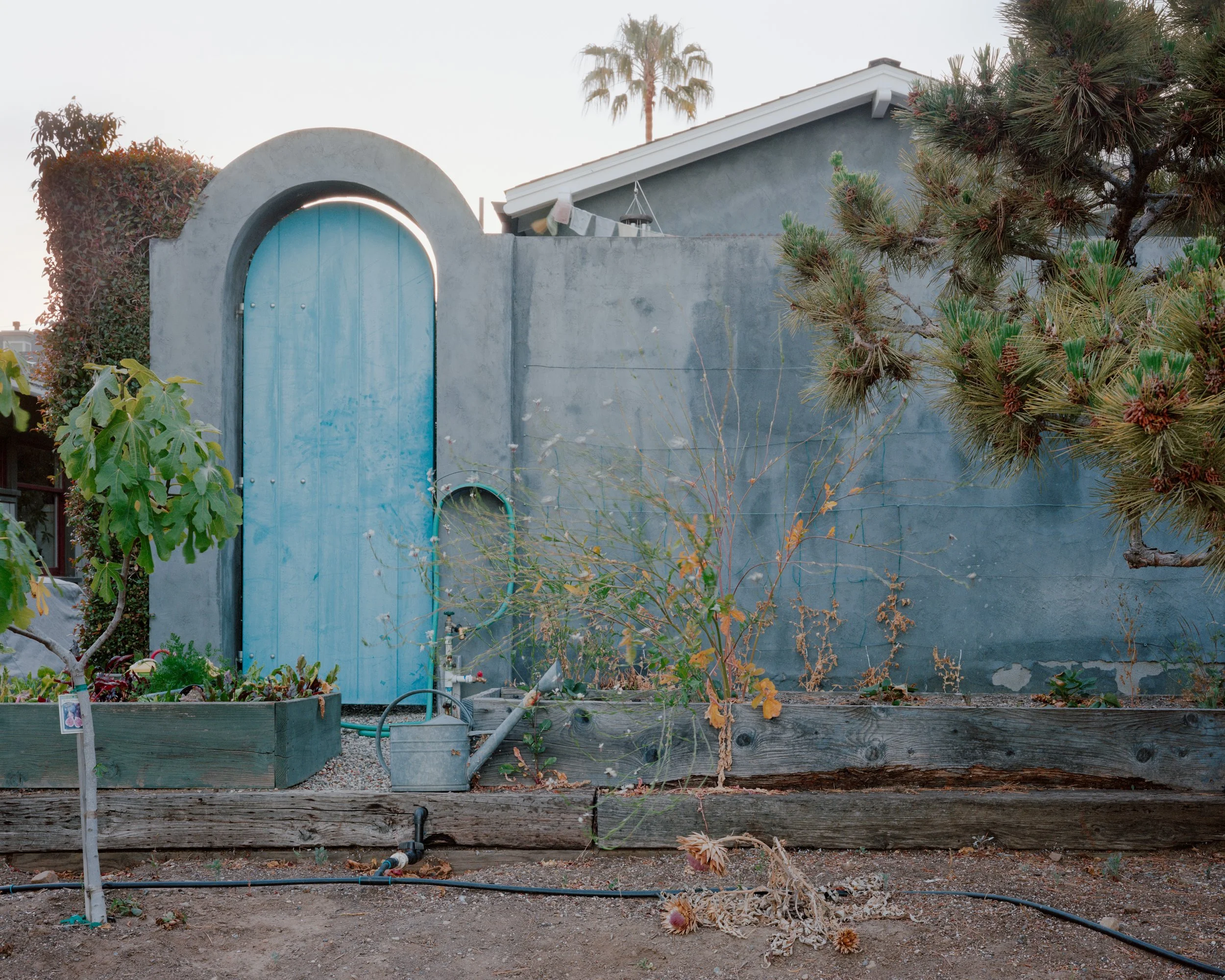 American Riviera - Matt Walla - Press Copy-5.jpg