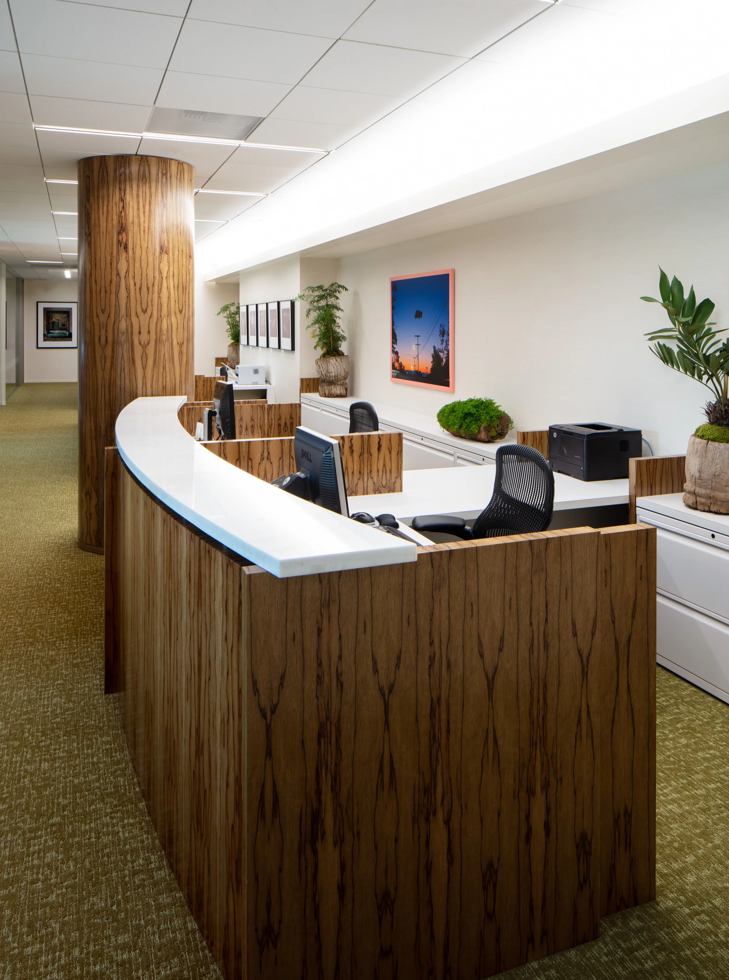 Modern office reception area with a curved wood-paneled desk, computer monitors, office chairs, plants, artwork, and bright ceiling lights.