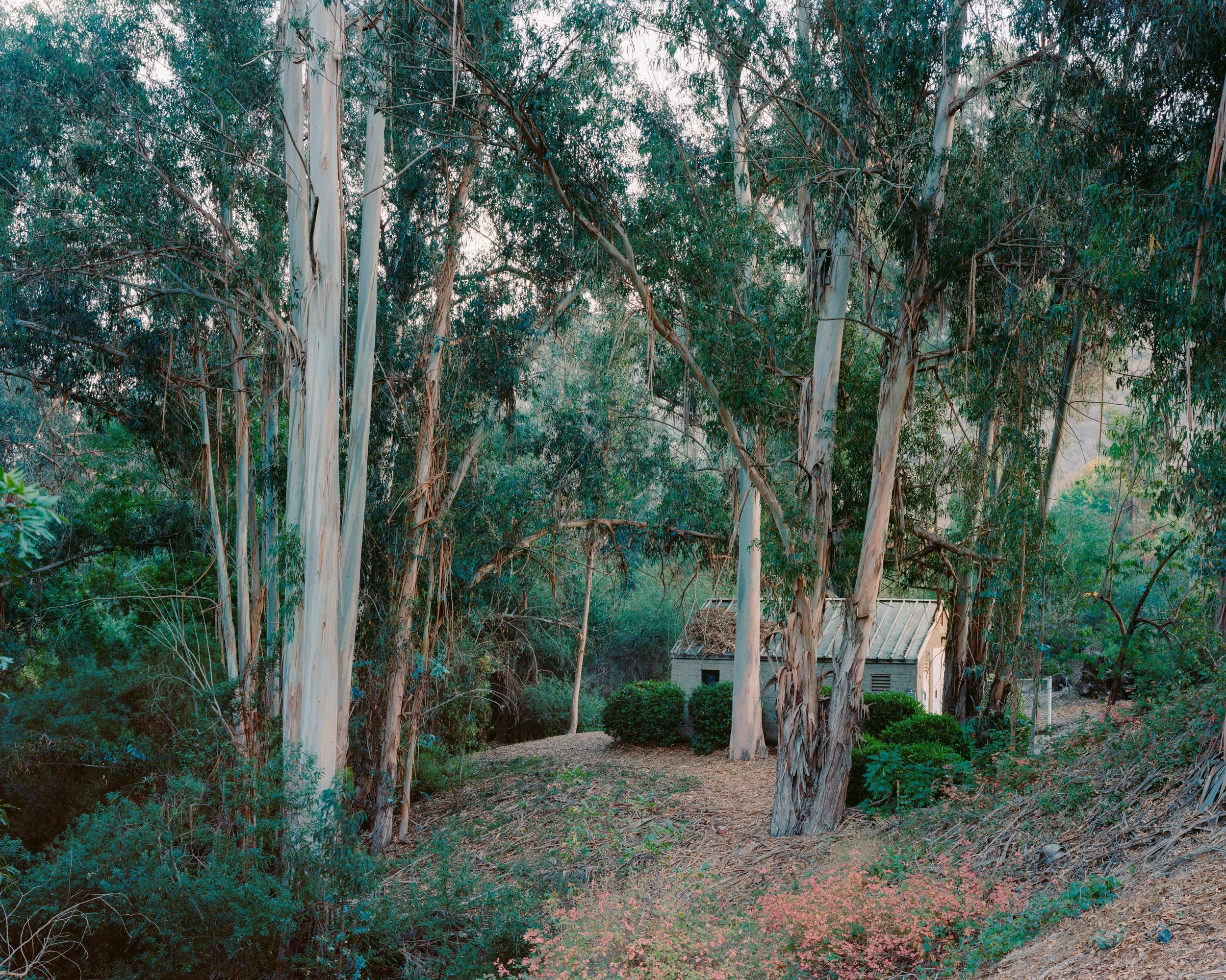 American Riviera - Matt Walla - Press Copy-3.jpg