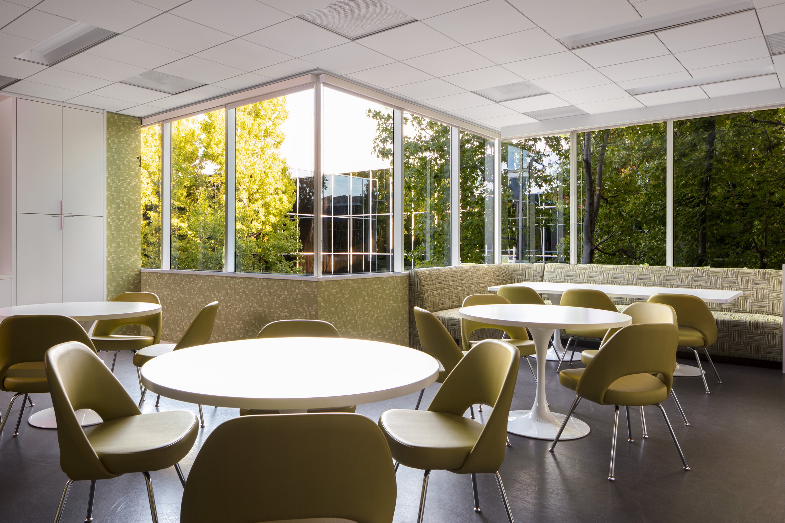 Modern cafeteria lounge with olive-green chairs, white tables, curved upholstered seating, and floor-to-ceiling windows overlooking trees