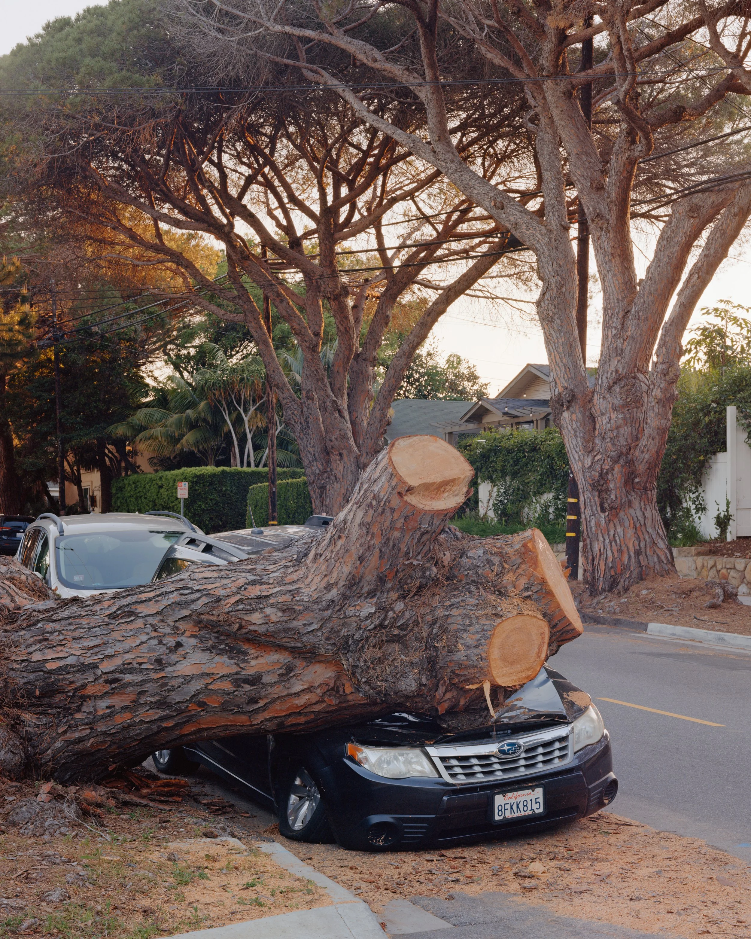 American Riviera Print Sale