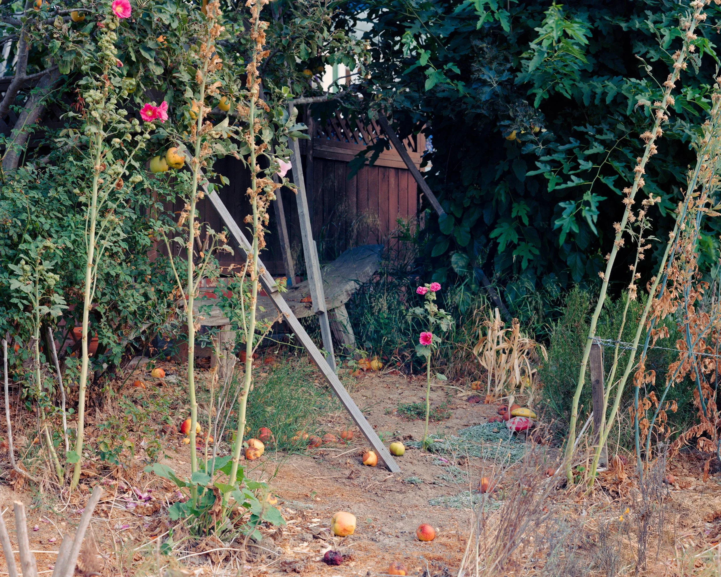 American Riviera - GOST - MattWalla-2.jpg