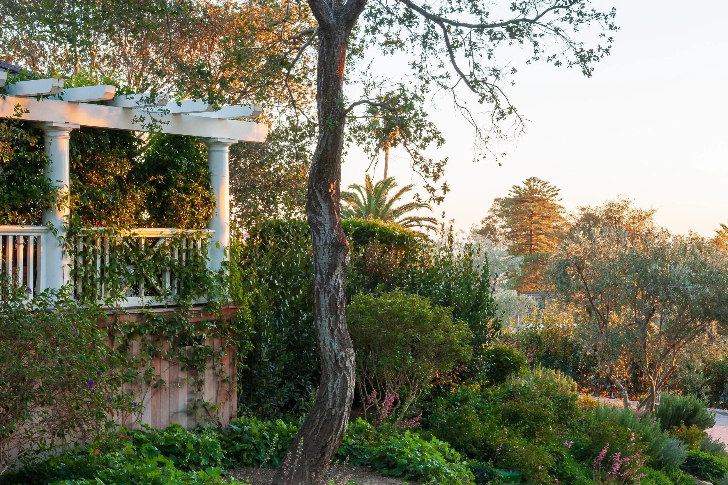 White-columned garden patio surrounded by lush landscaping and mature trees at sunset
