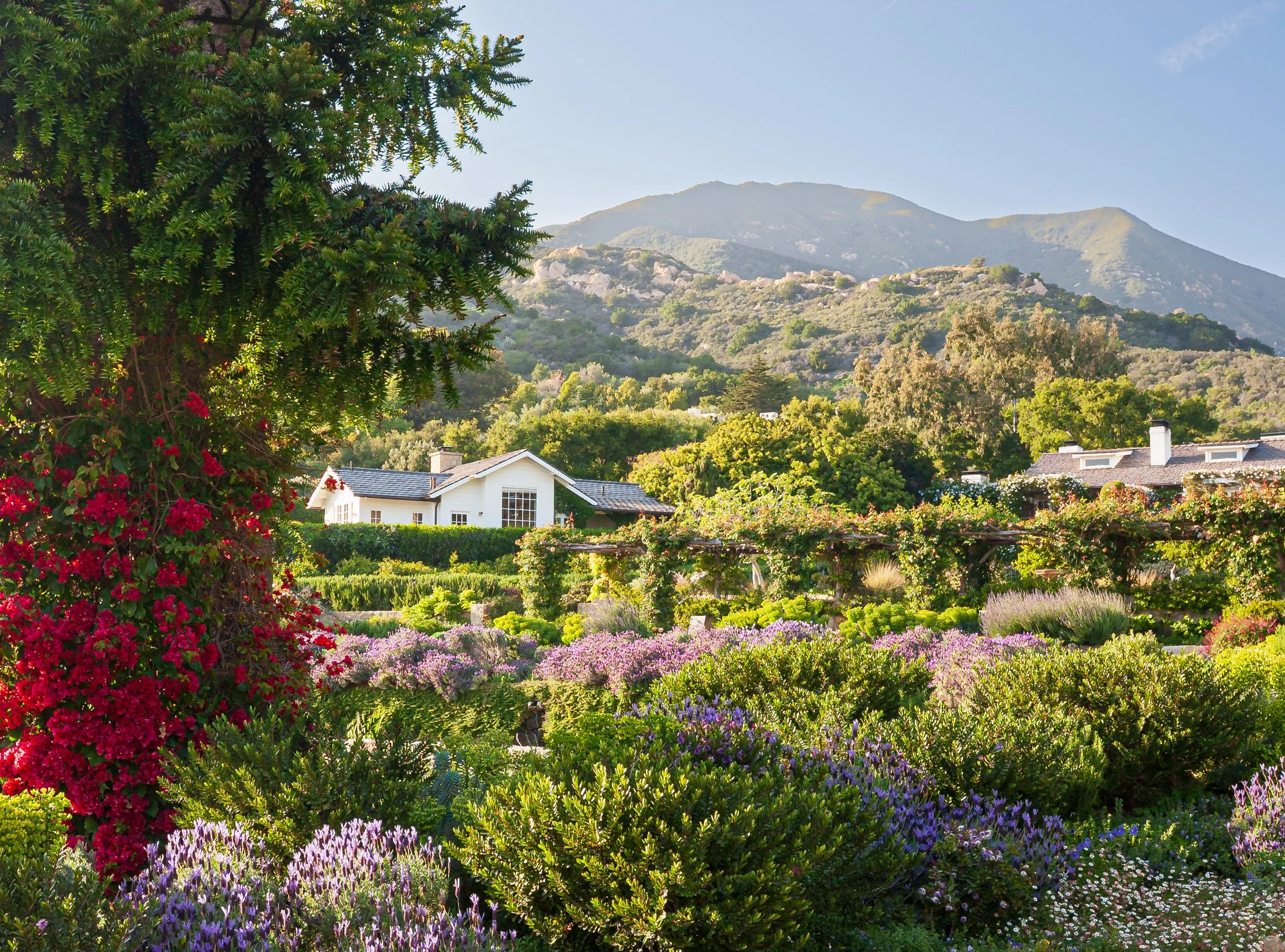 Lush flowering garden with colorful blooms and houses overlooking a rugged mountain landscape