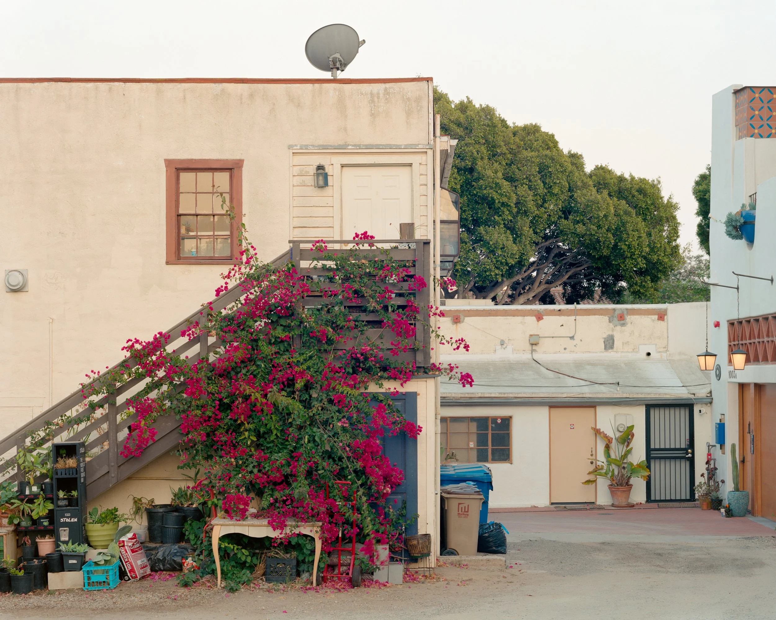 American Riviera - Matt Walla - Press Copy-1.jpg