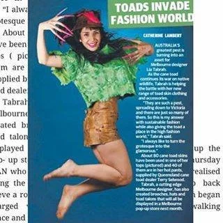Townsville Bulletin 2015